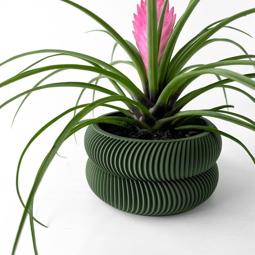 Avex Planter