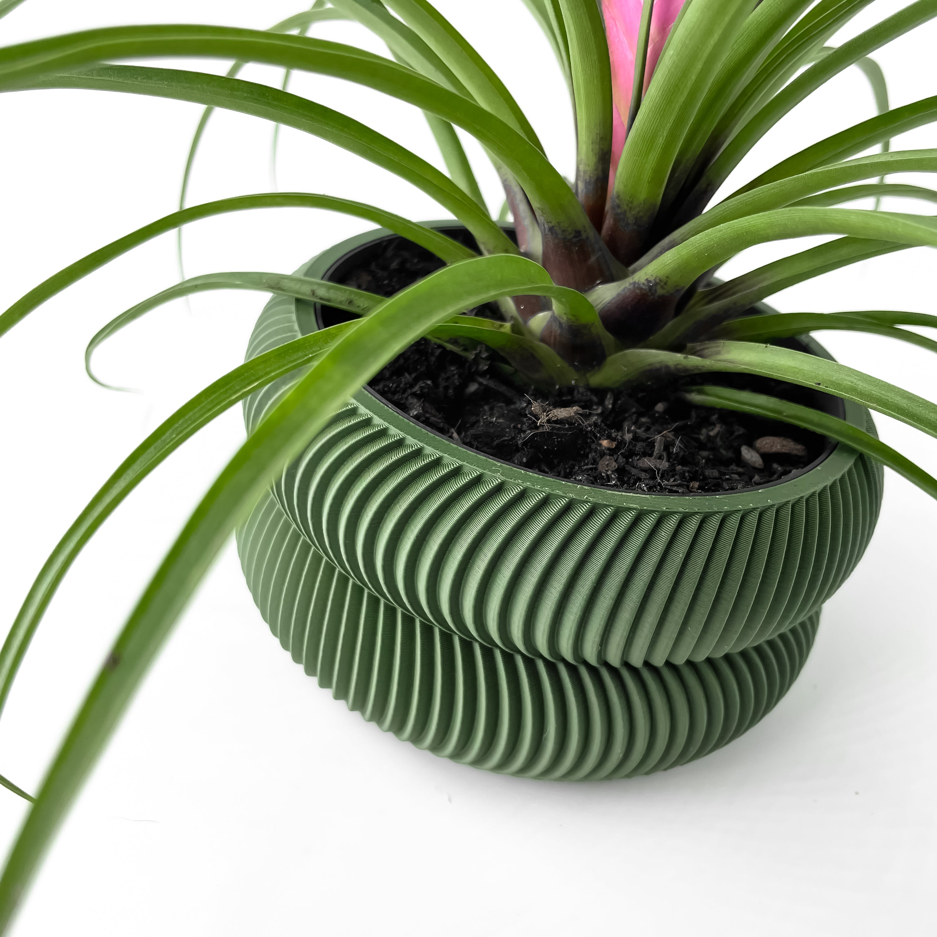 Avex Planter