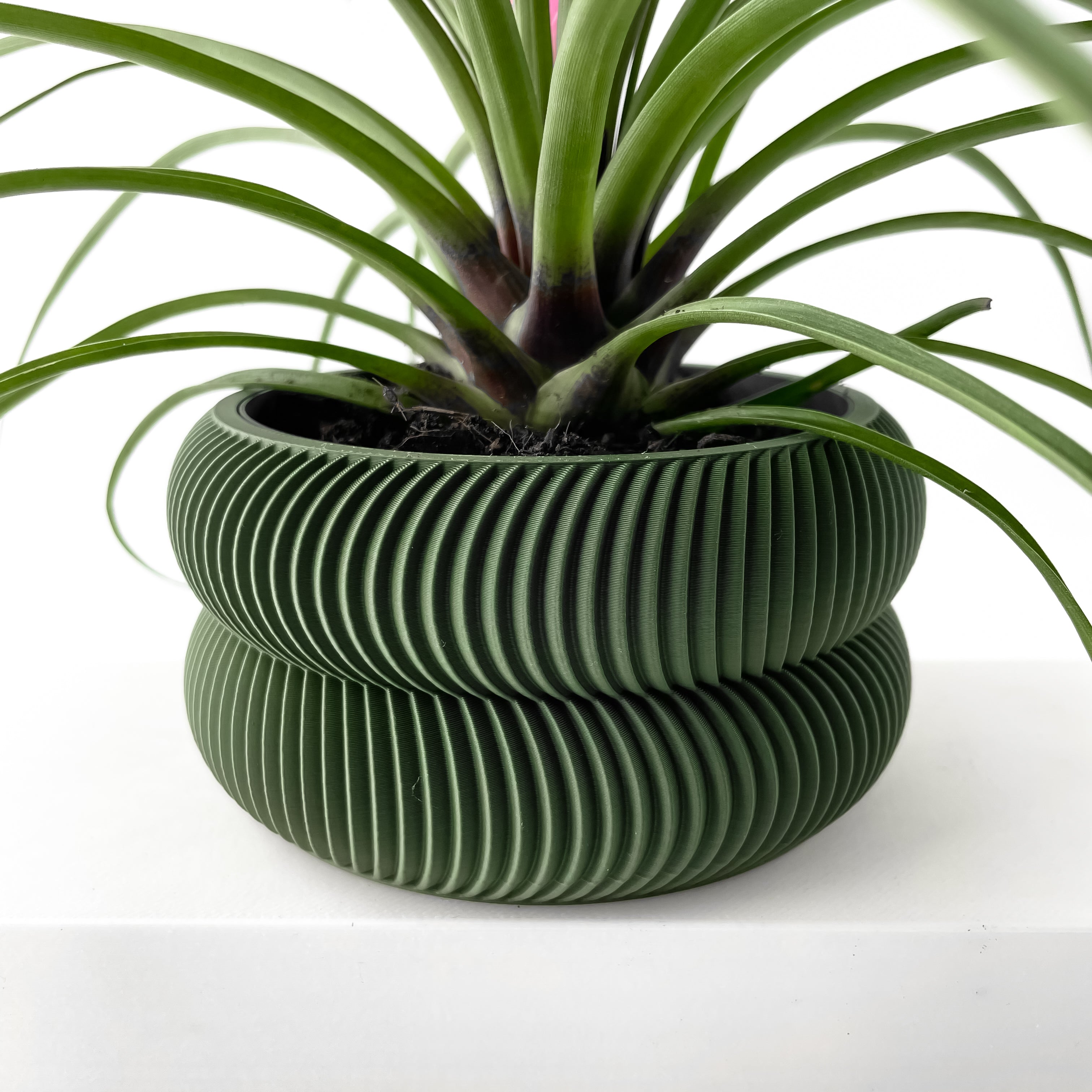 Avex Planter