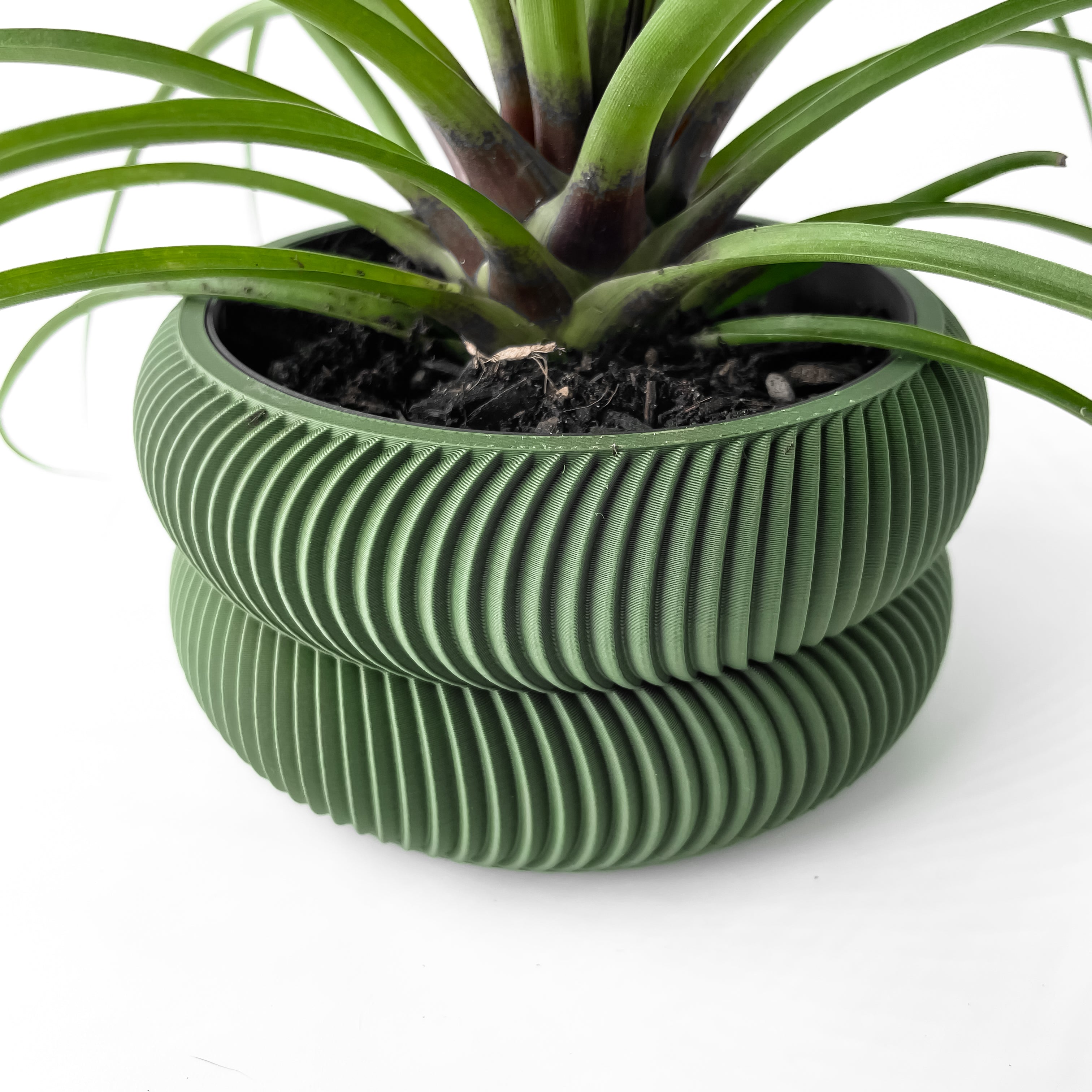 Avex Planter