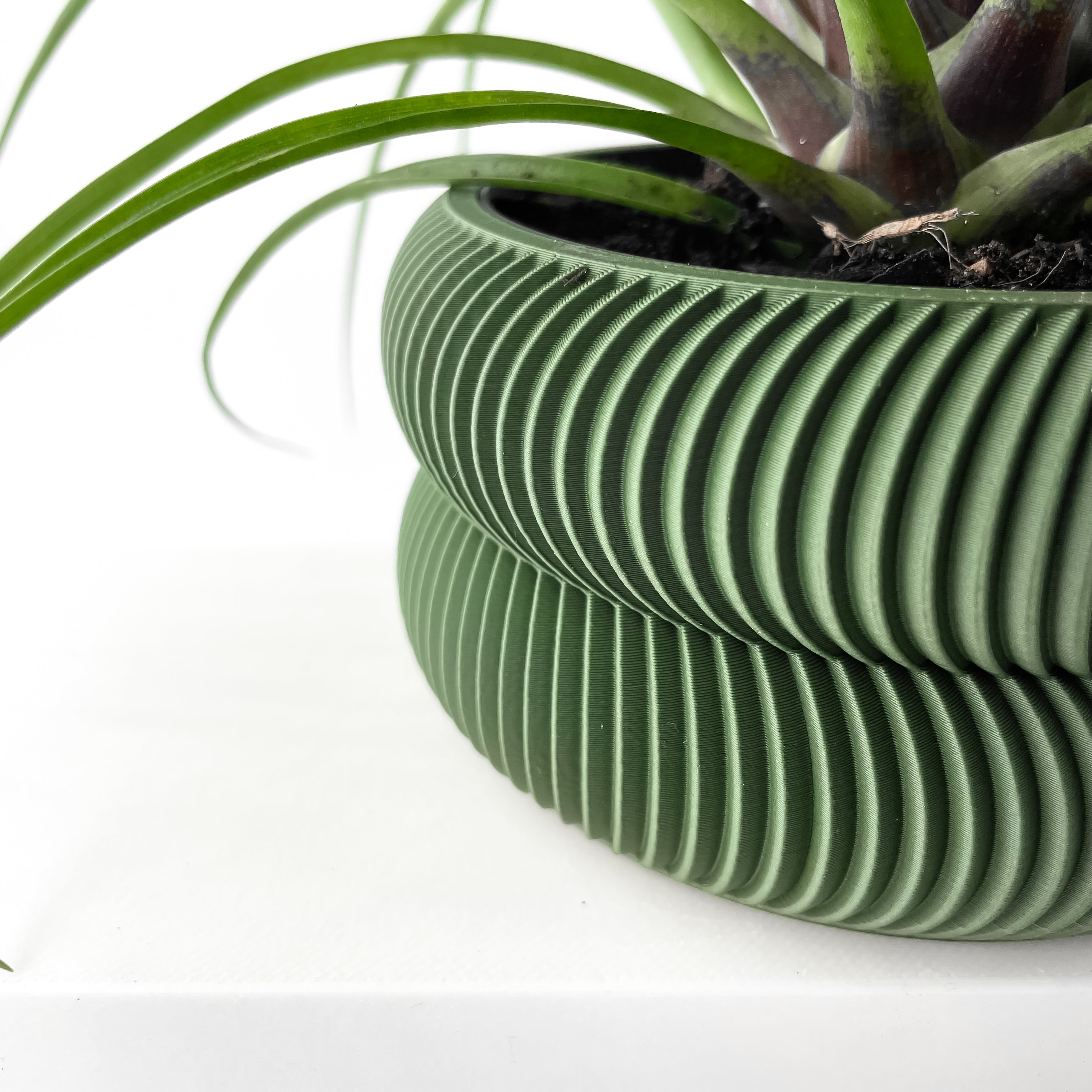 Avex Planter