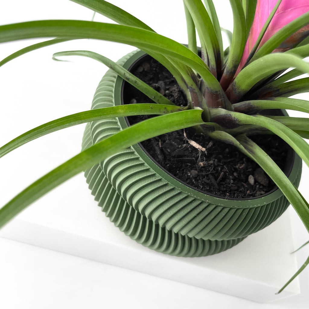 Avex Planter