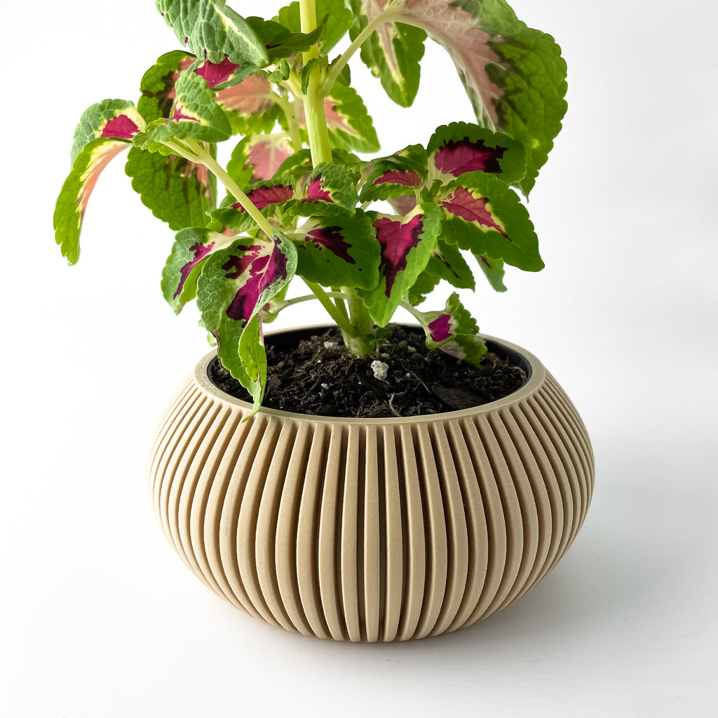 Torme Planter