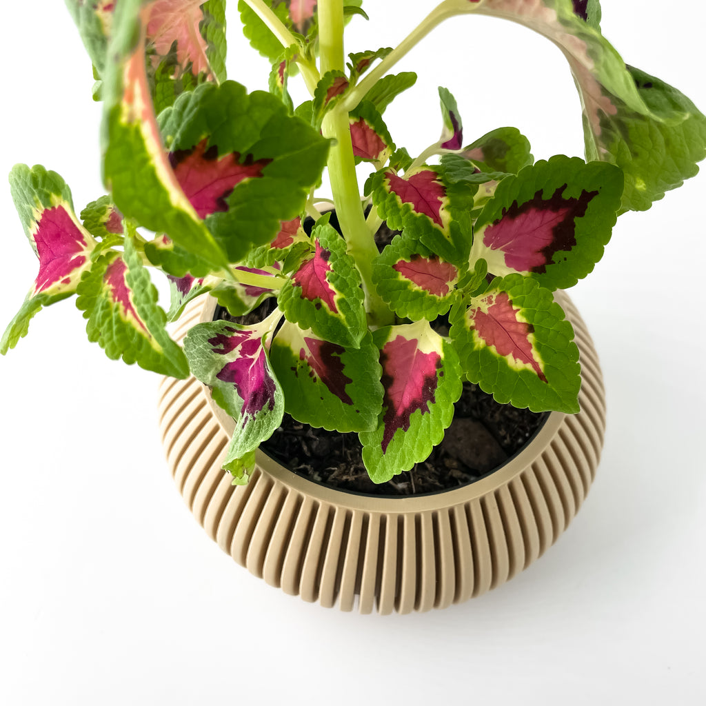 Torme Planter