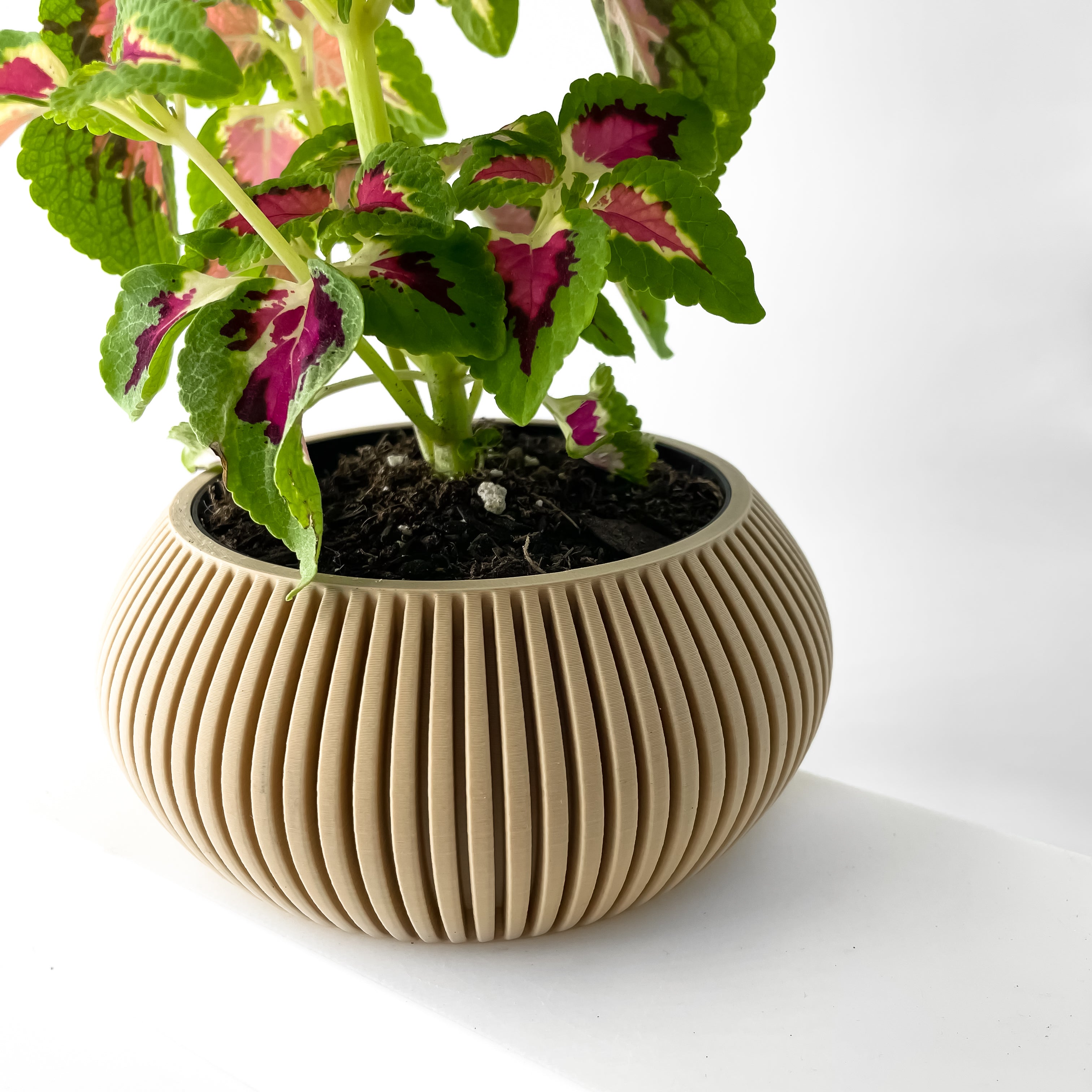 Torme Planter
