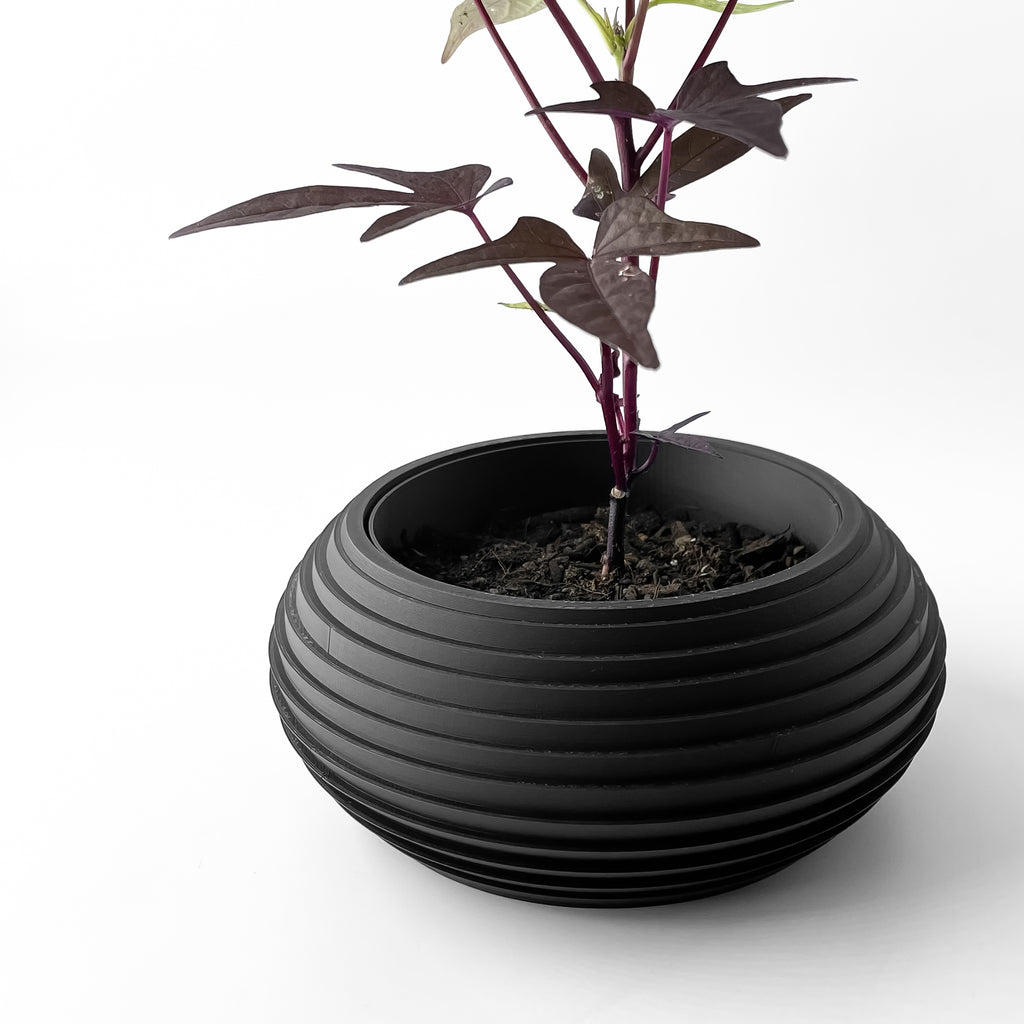 Frons Planter