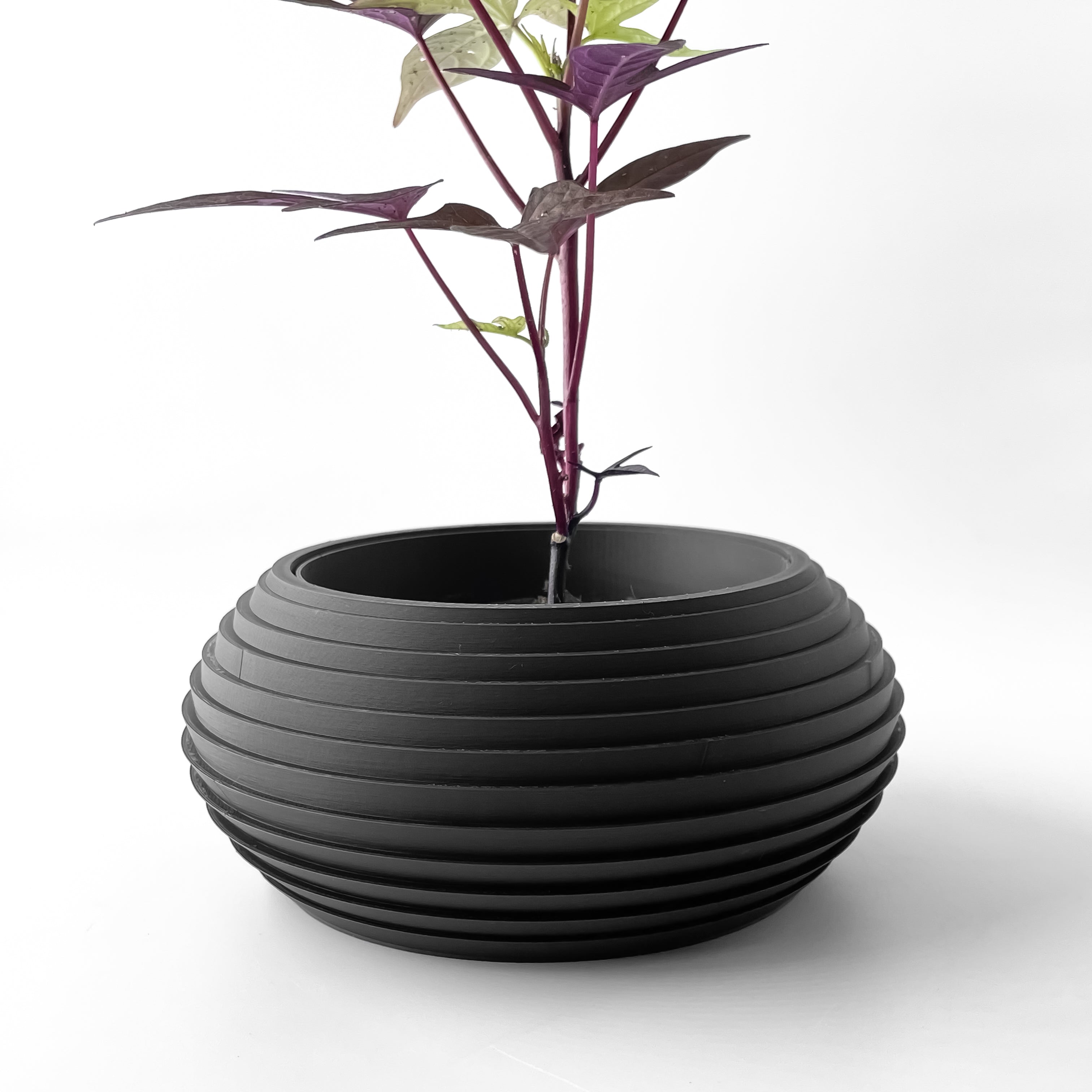 Frons Planter