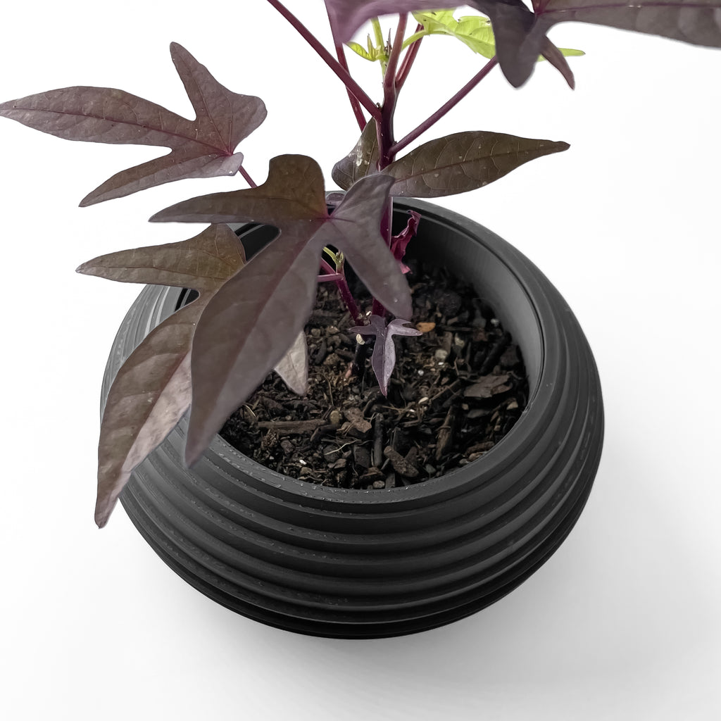 Frons Planter