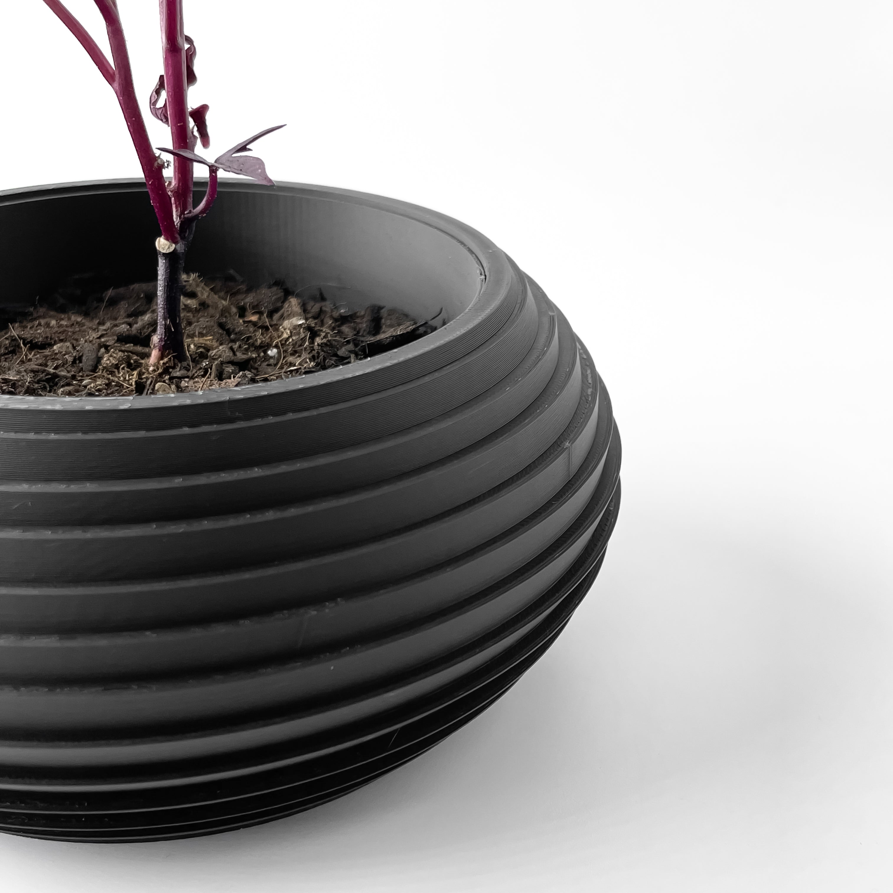 Frons Planter