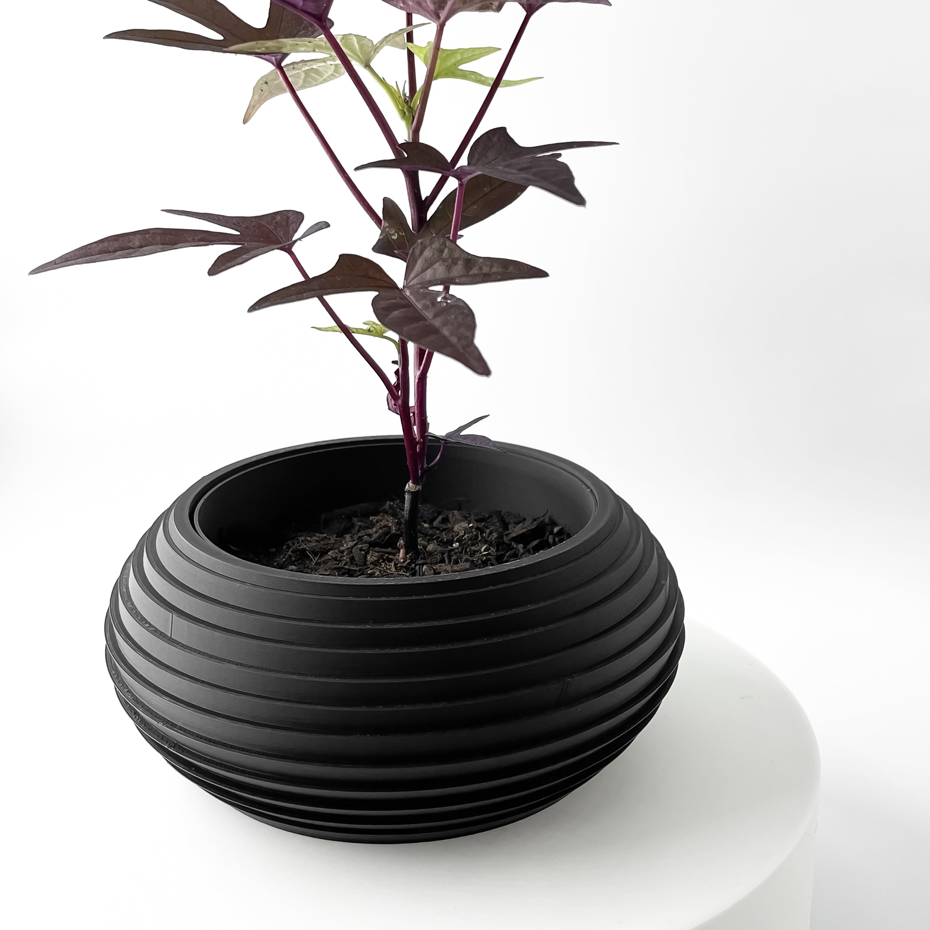 Frons Planter