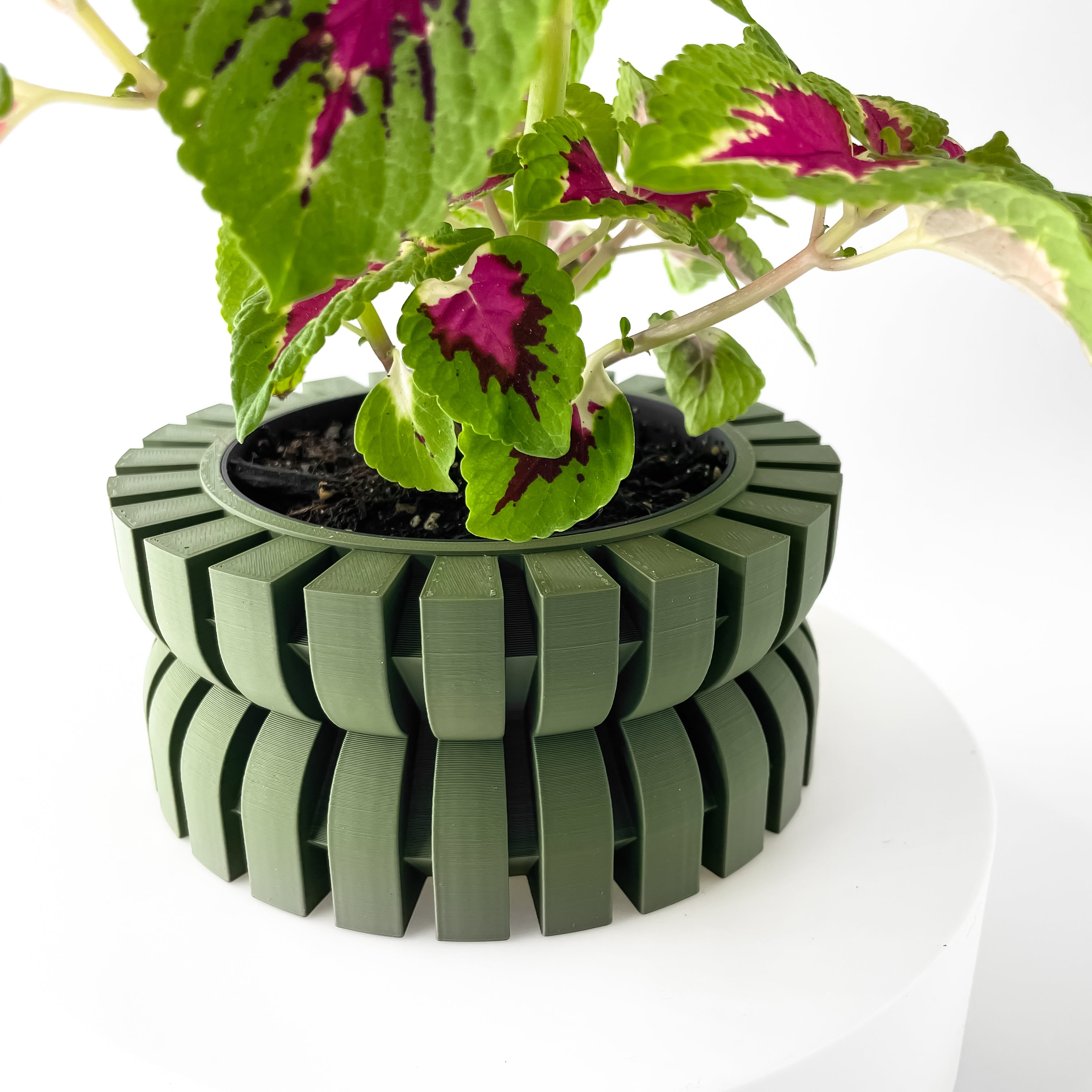 Griva Planter