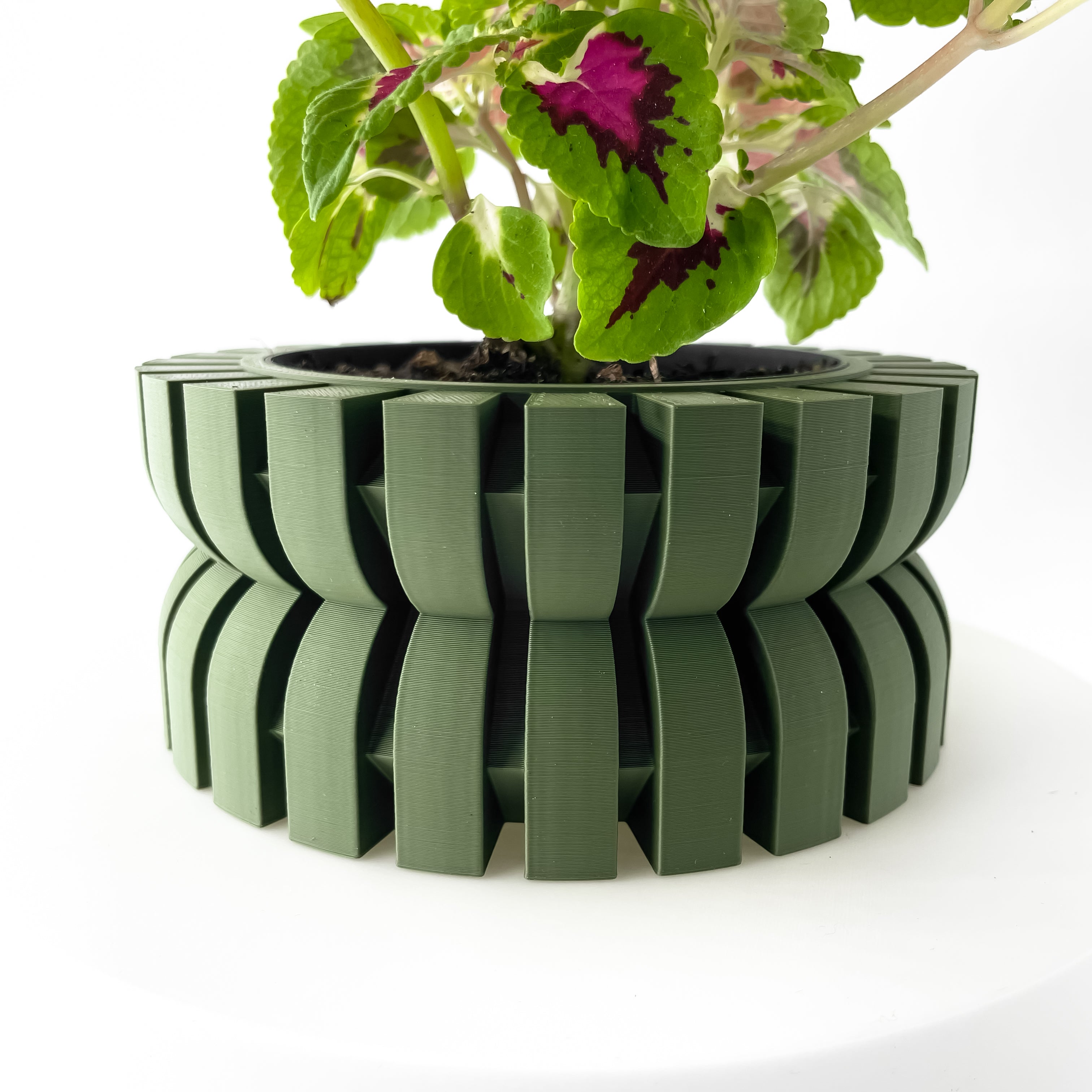 Griva Planter