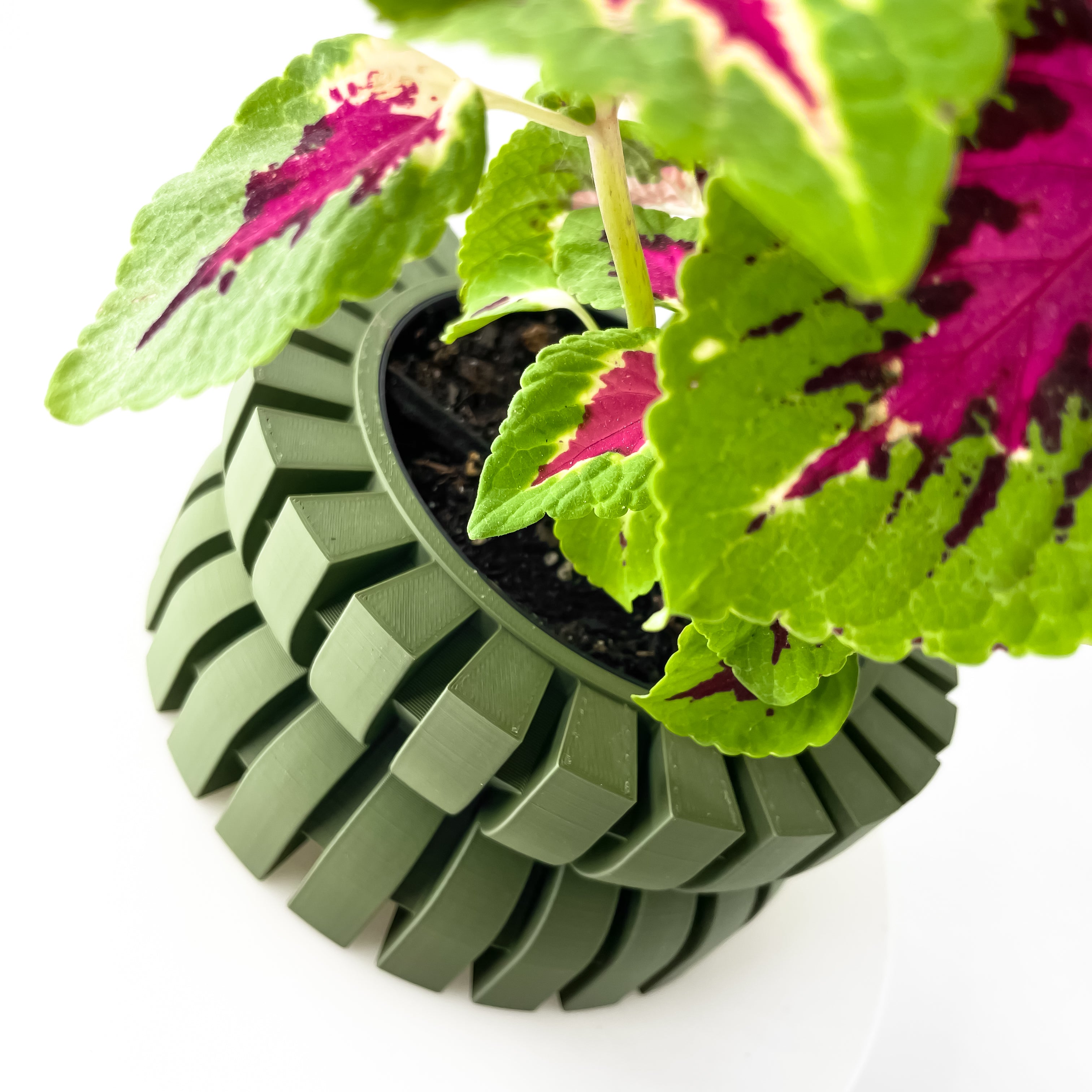 Griva Planter