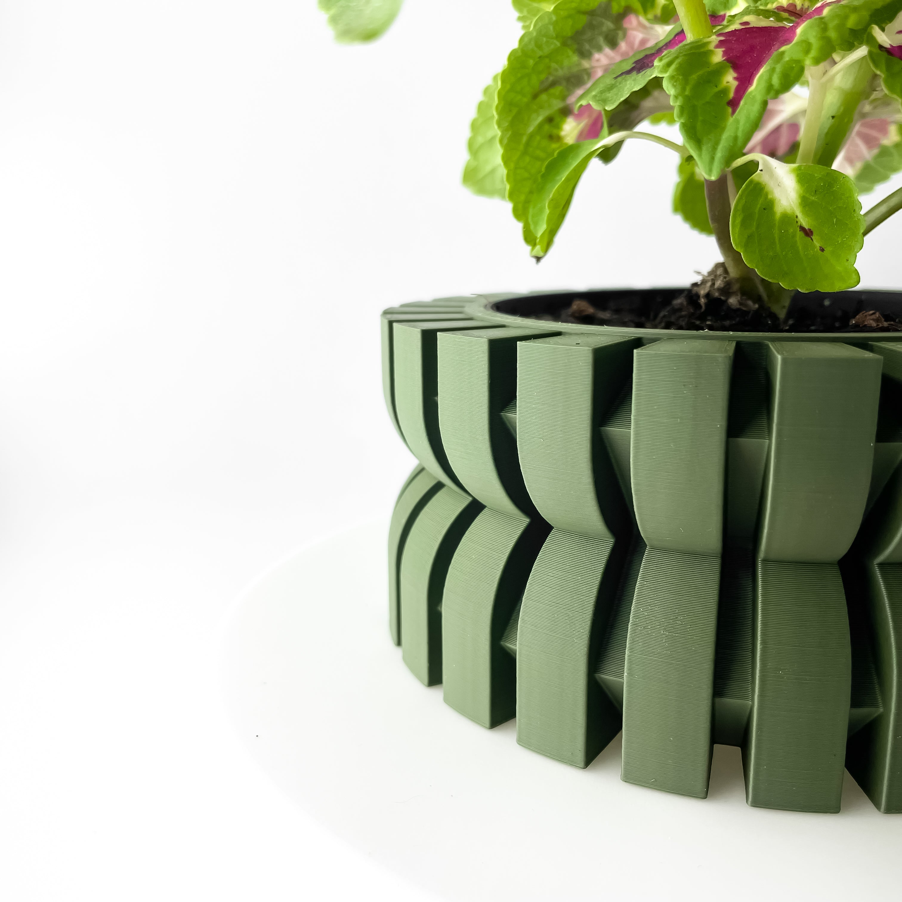 Griva Planter