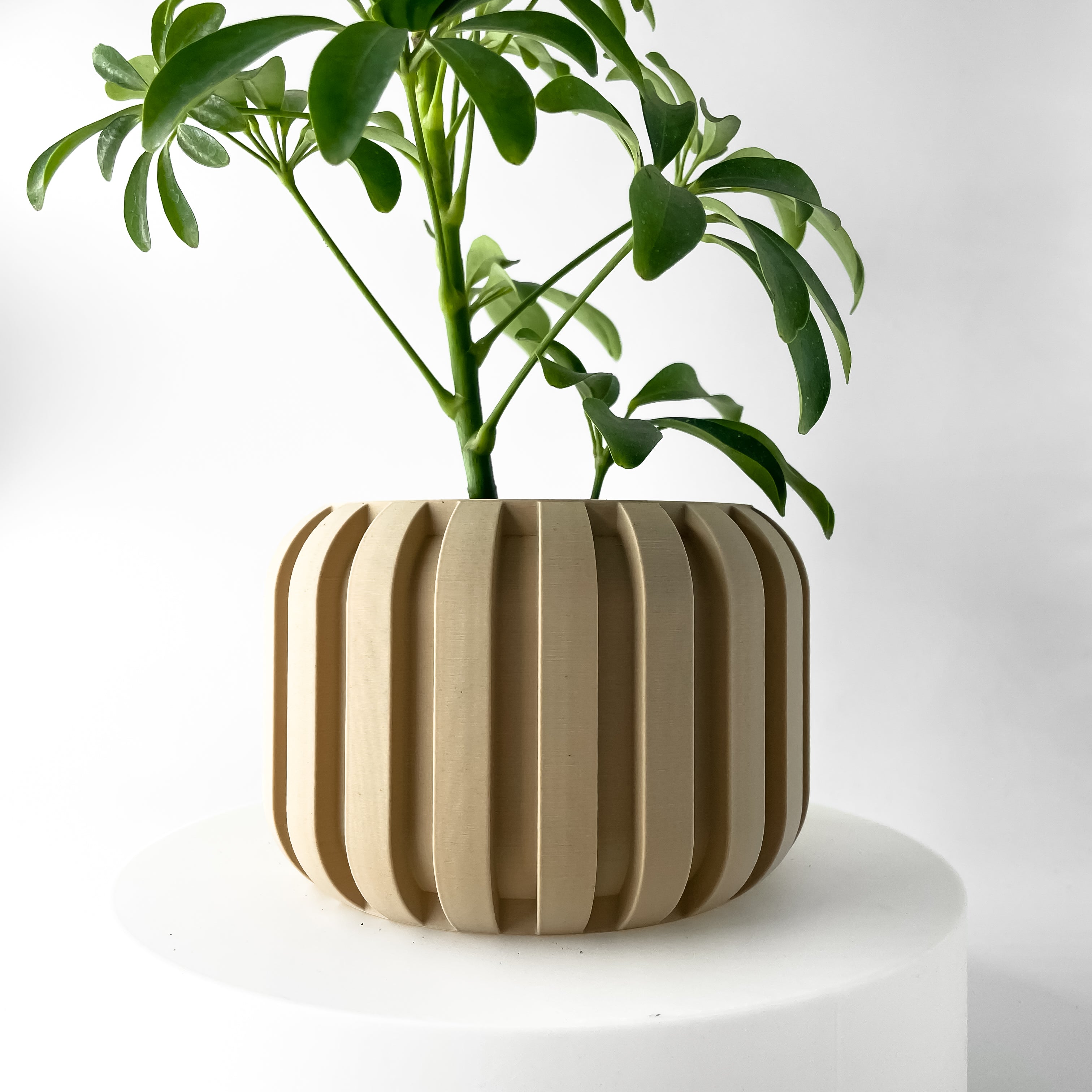 The Panu Planter Pot