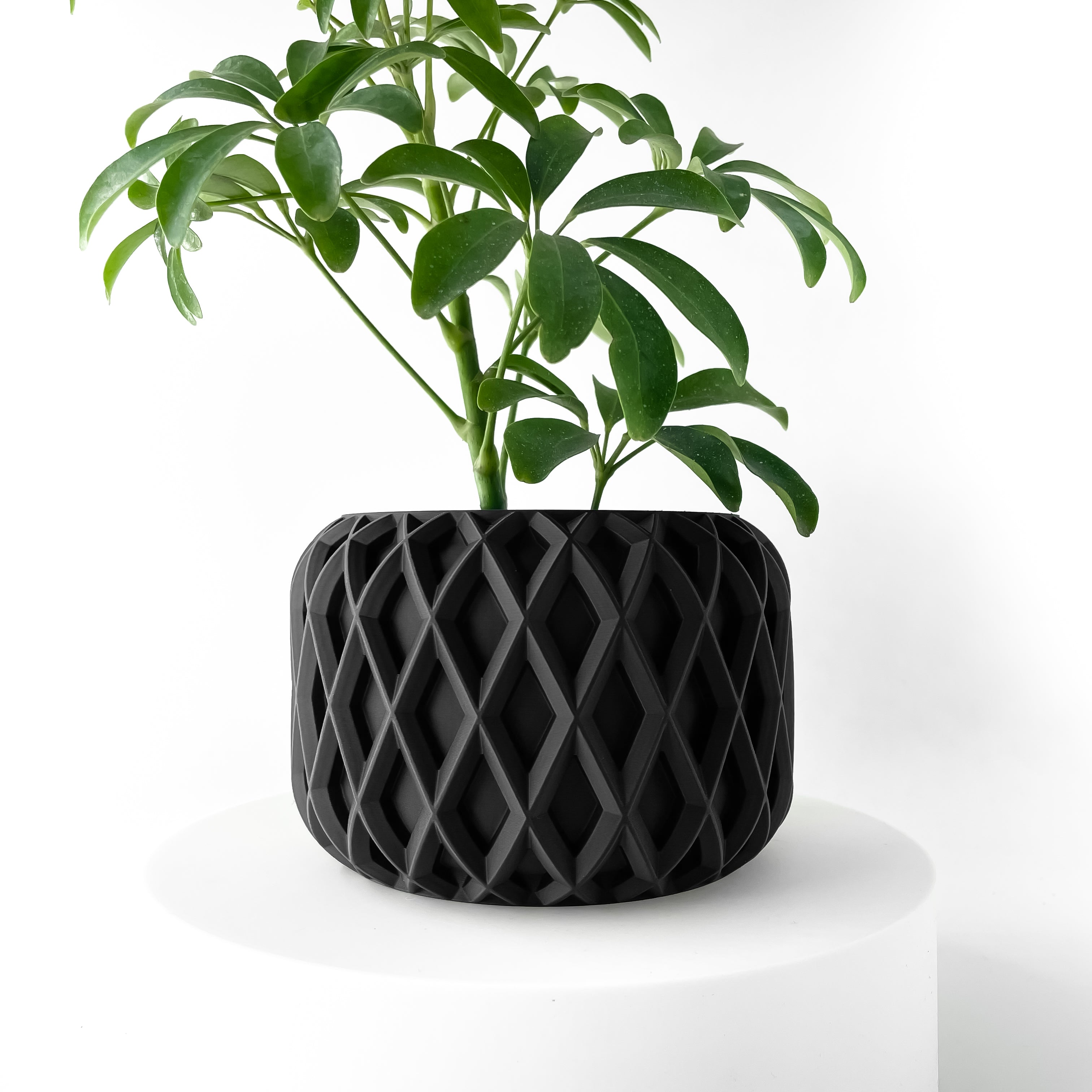 The Kinao Planter Pot