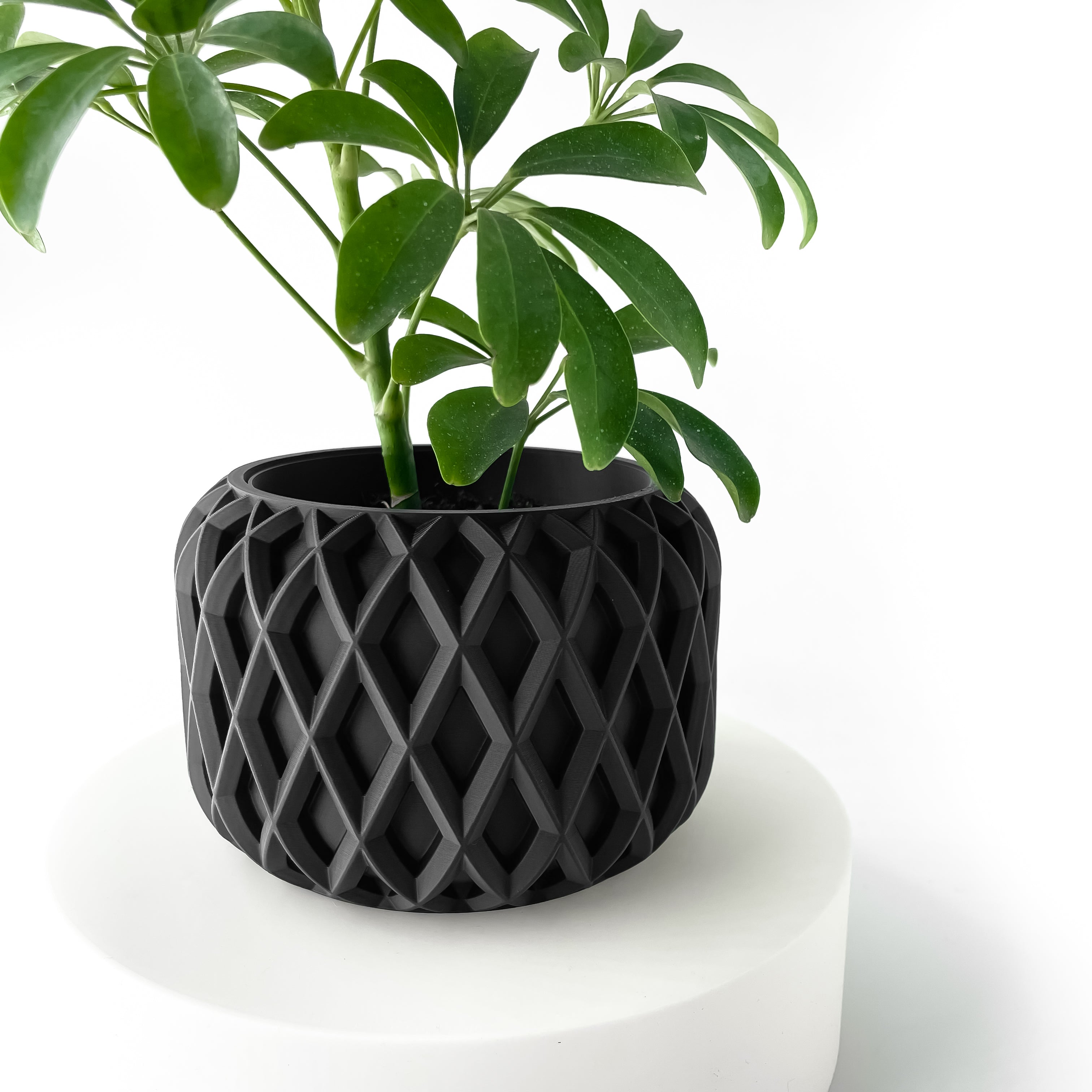 The Kinao Planter Pot