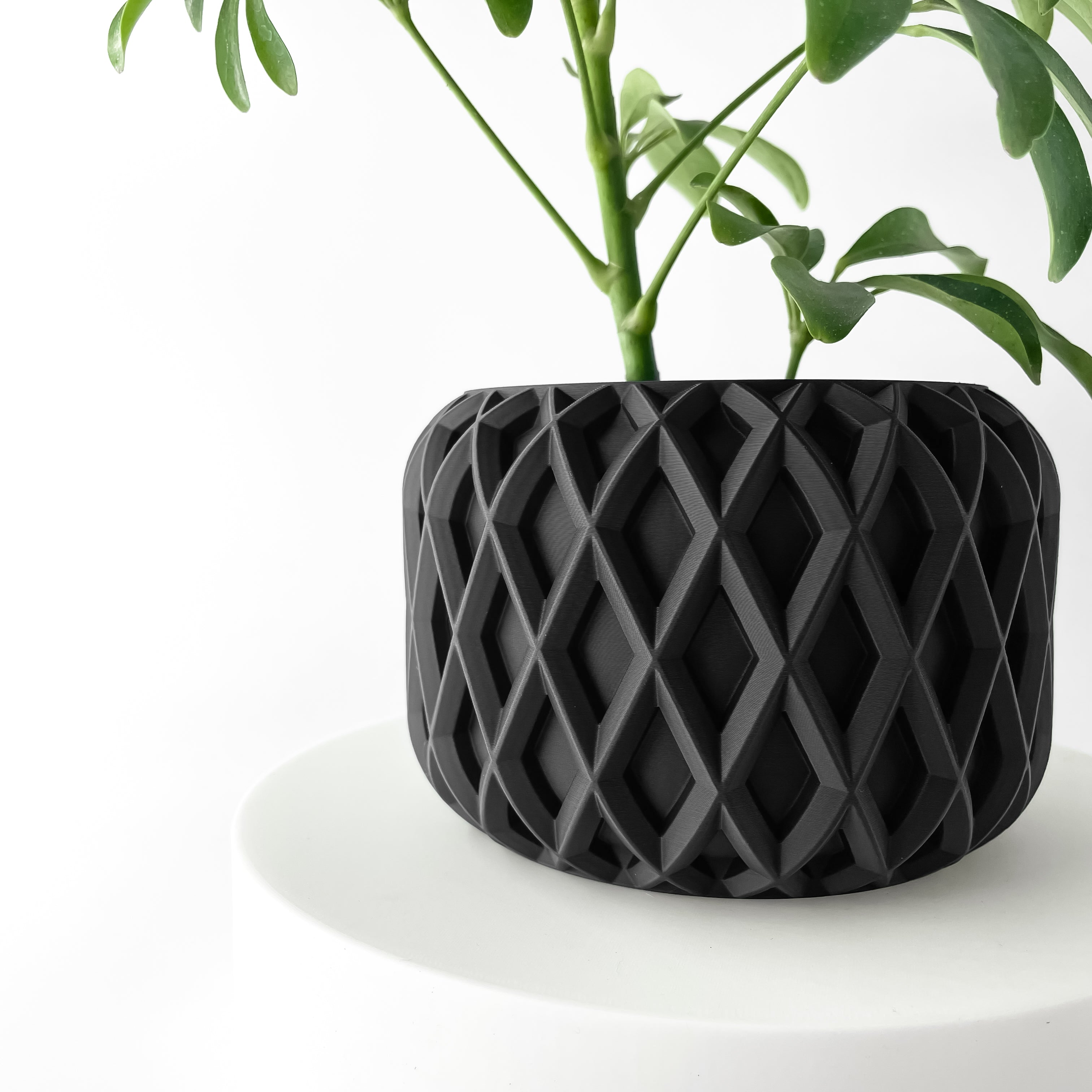 The Kinao Planter Pot