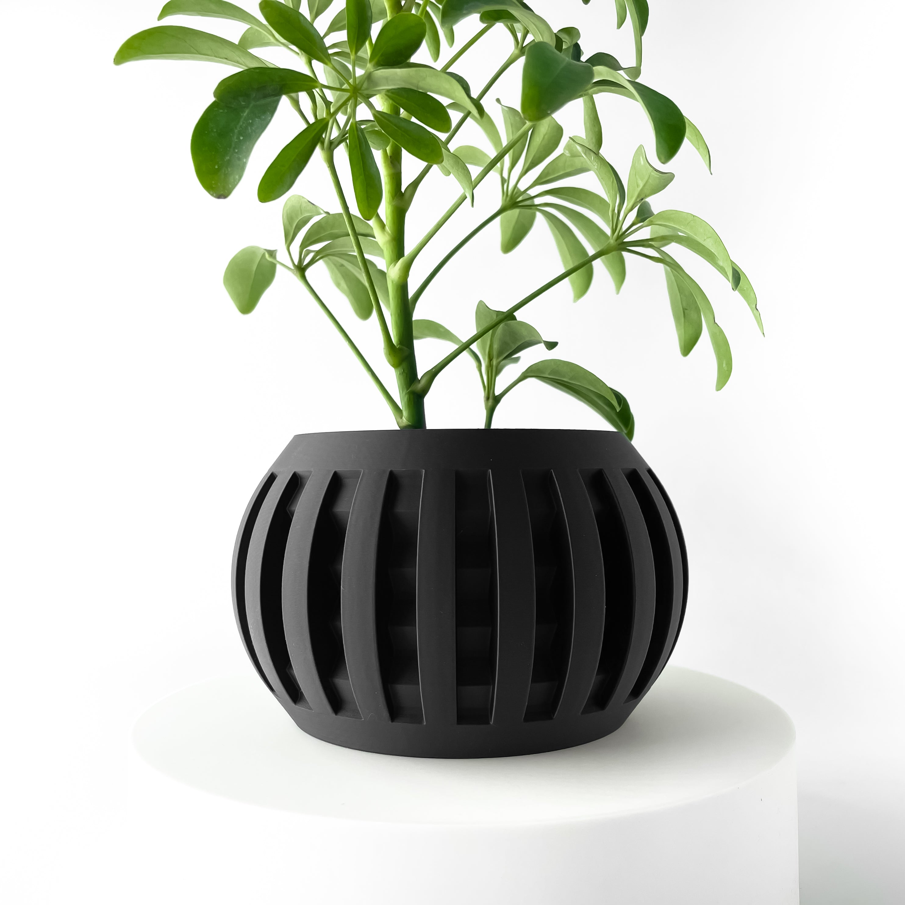 The Amada Planter Pot