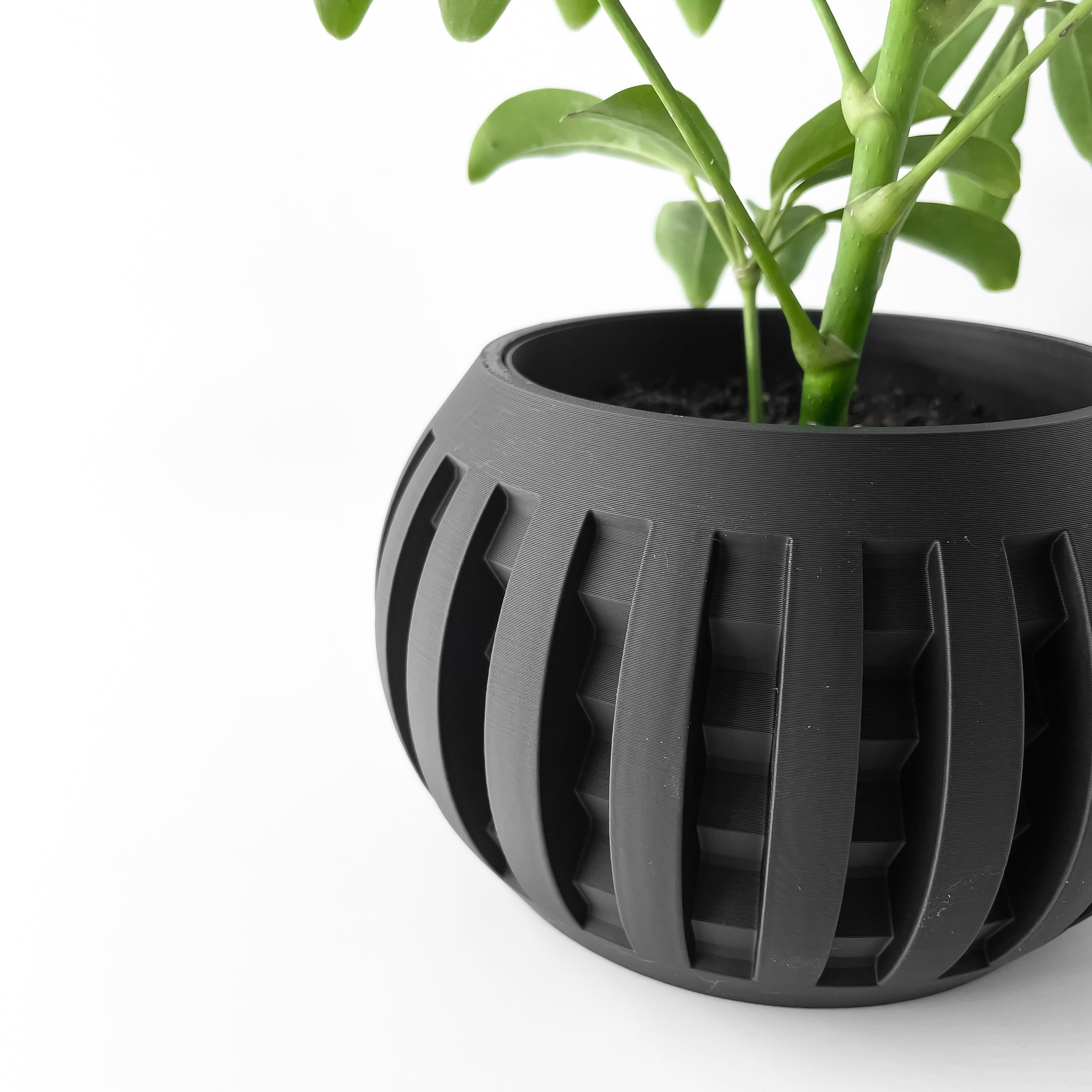 The Amada Planter Pot