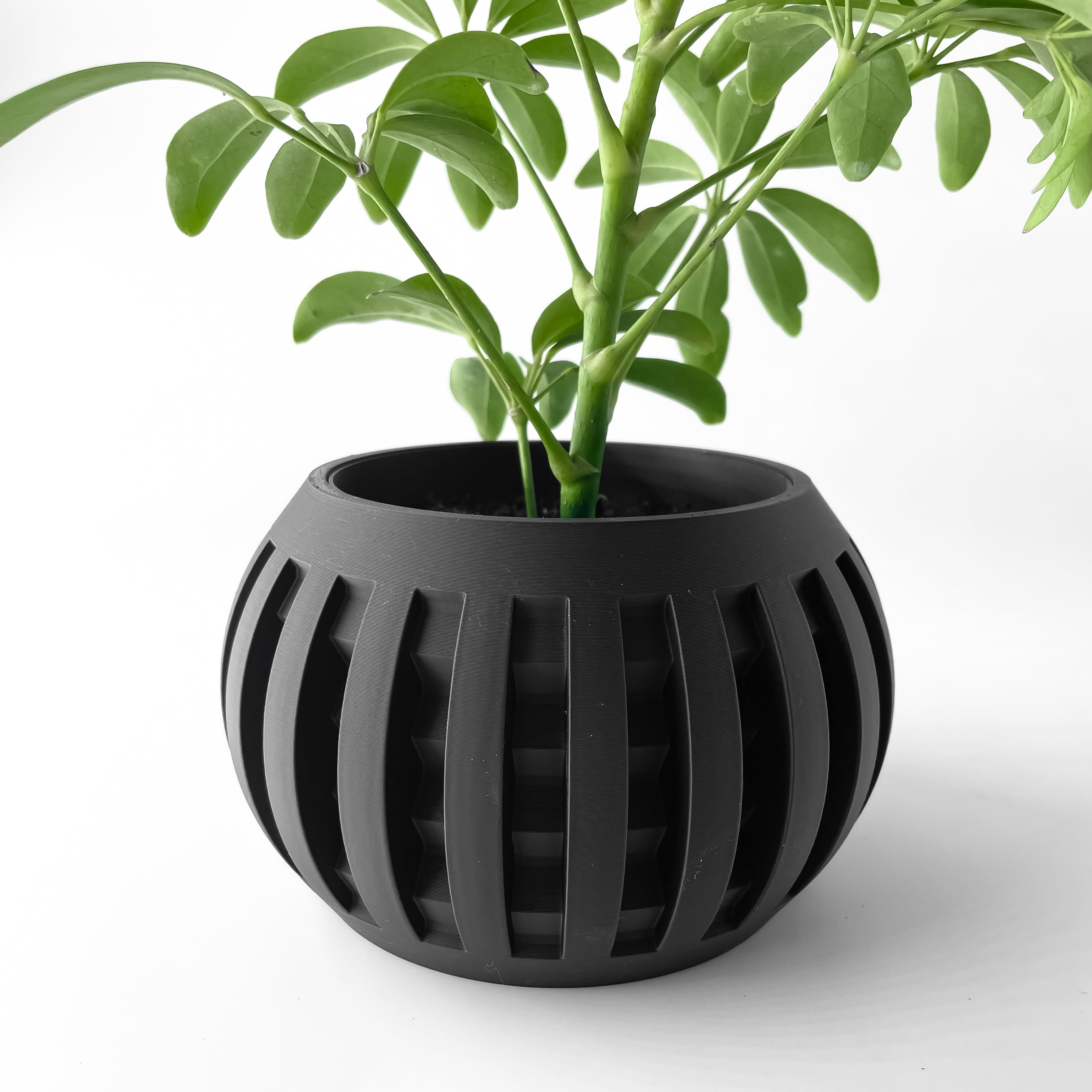 The Amada Planter Pot