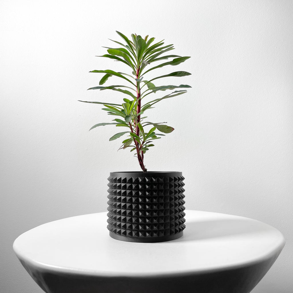 Anver Planter