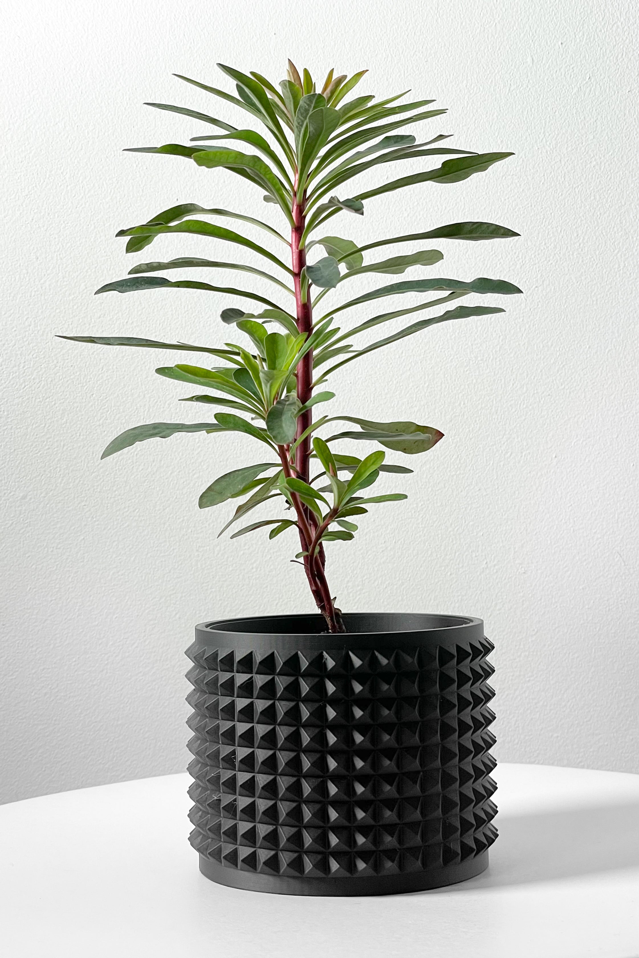 Anver Planter