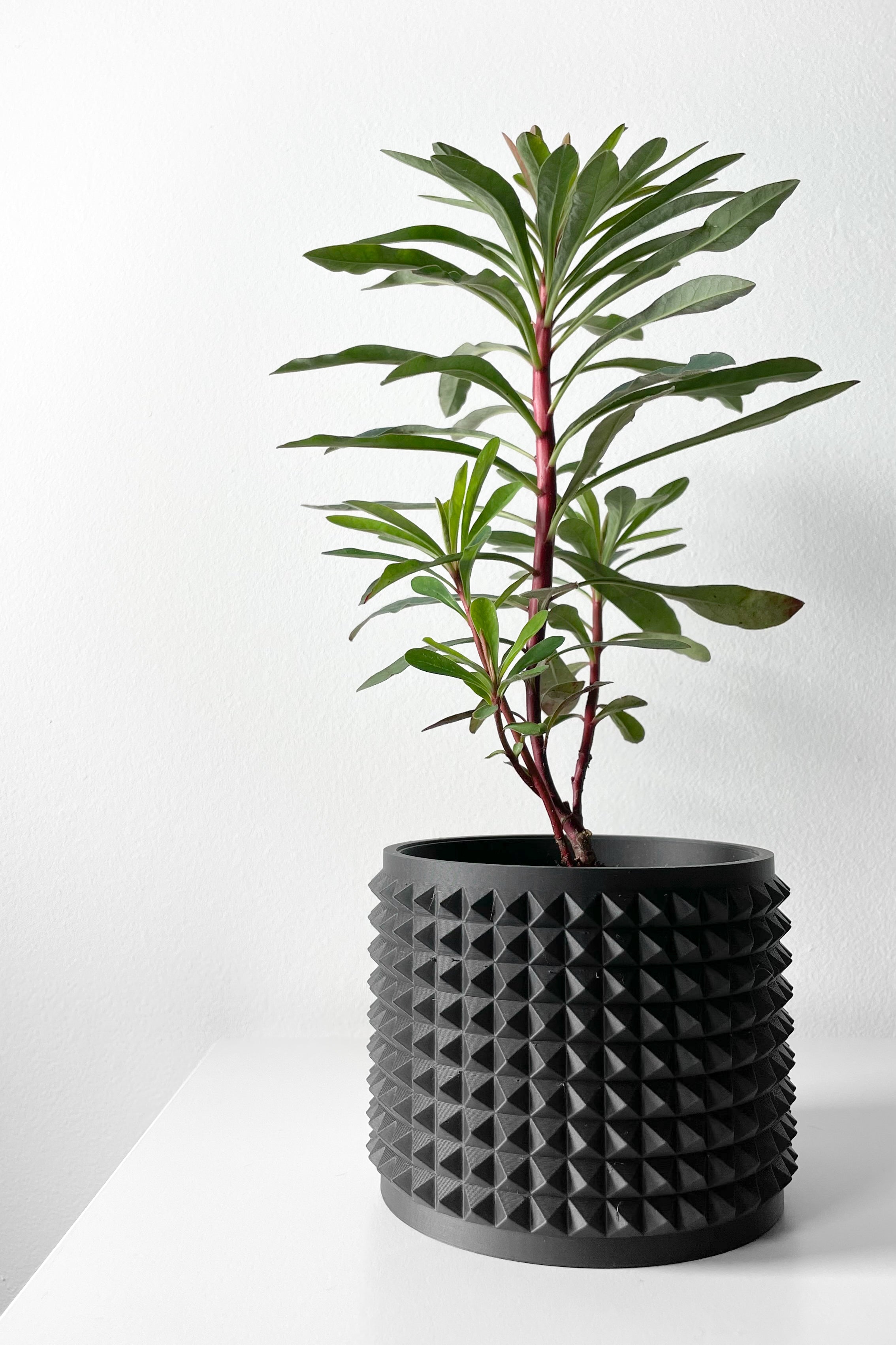 Anver Planter