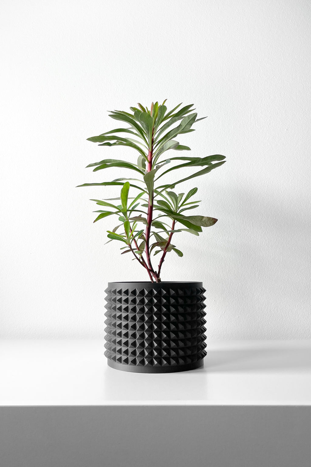 Anver Planter