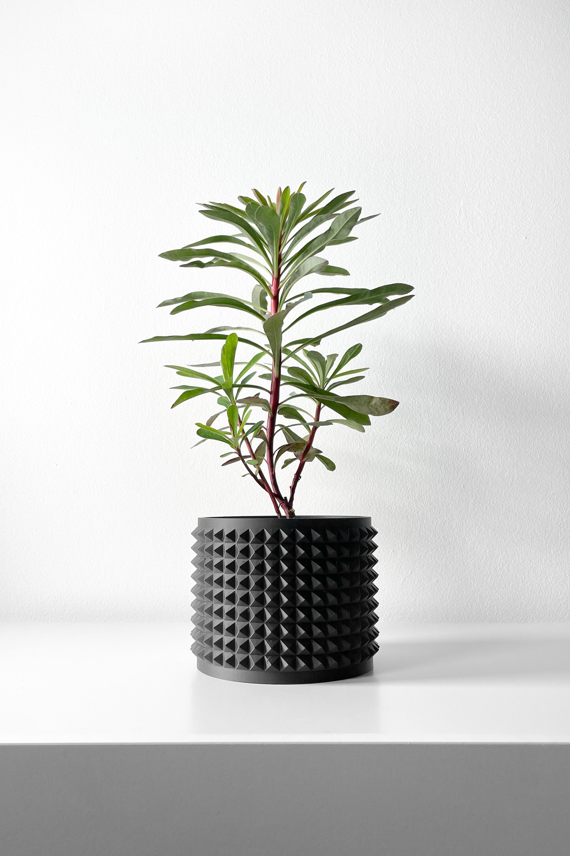 Anver Planter