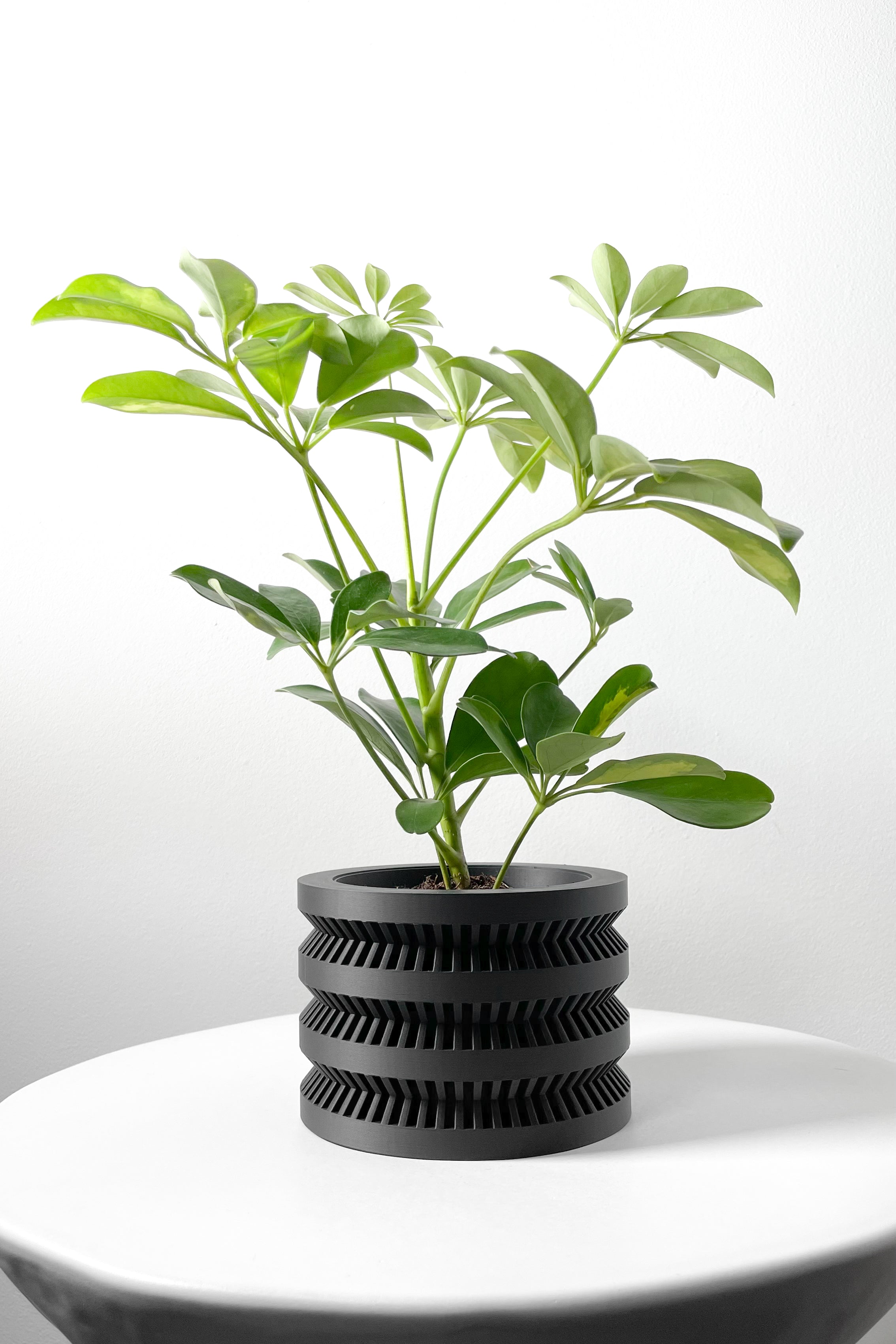 The Civen Planter