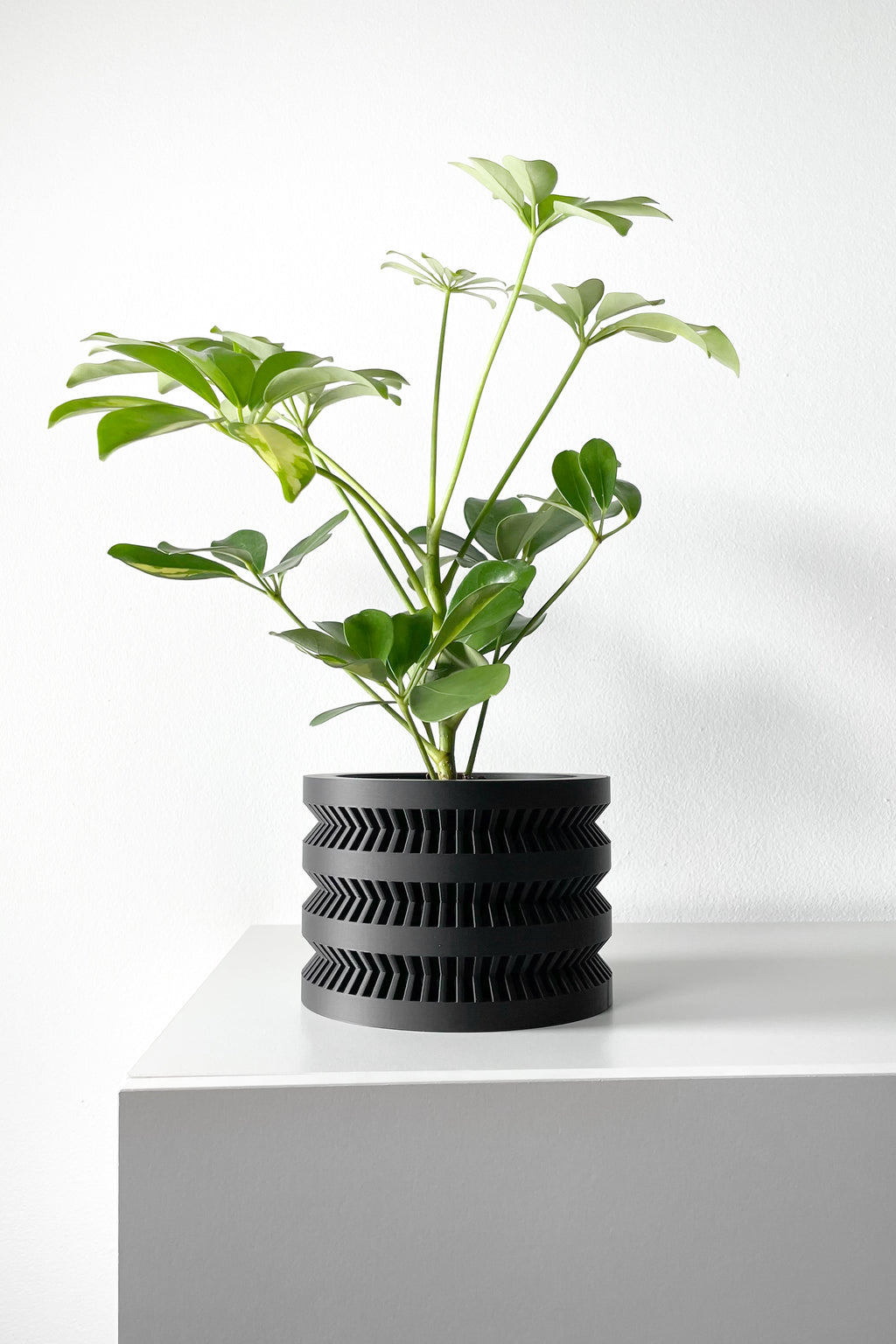 The Civen Planter