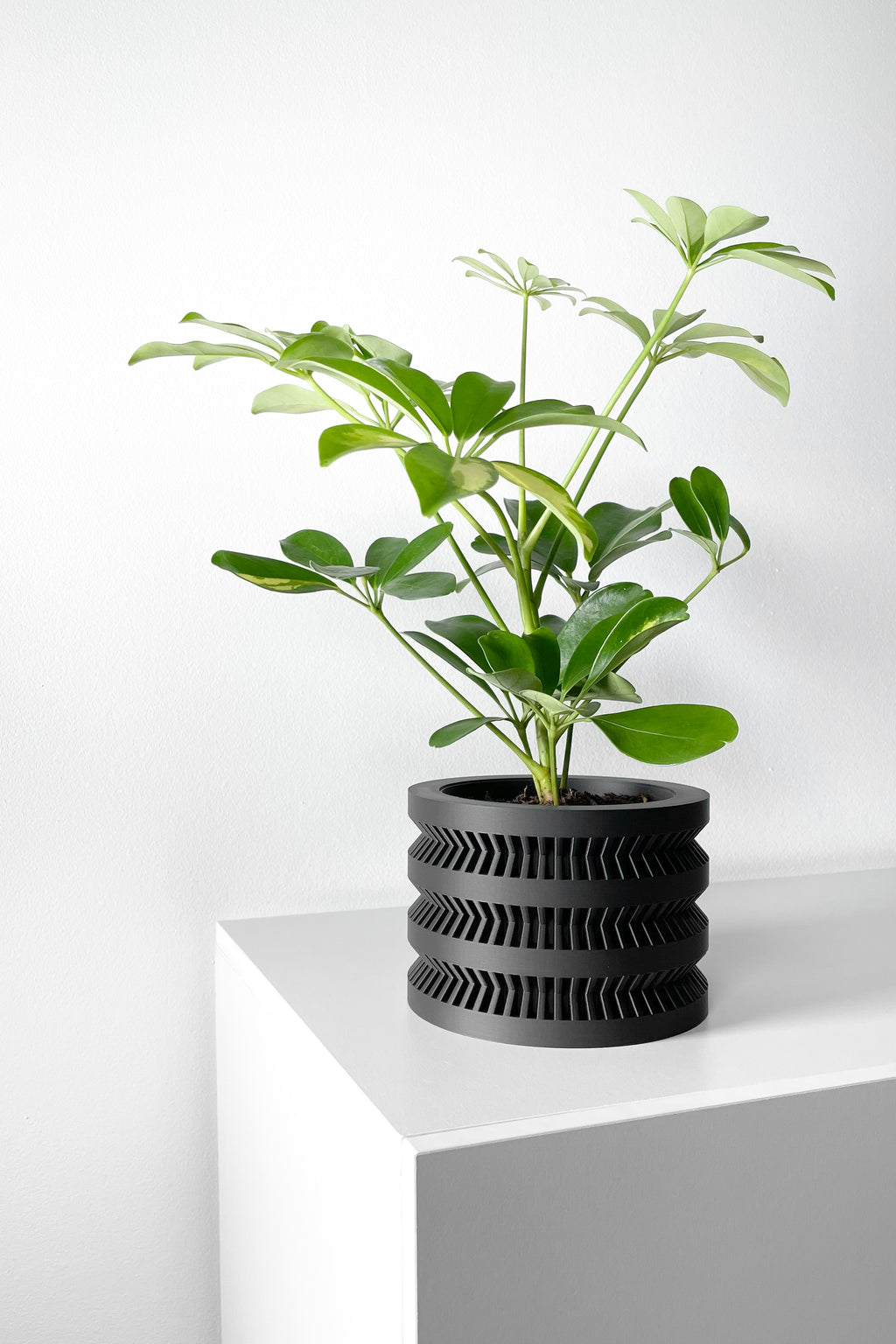 The Civen Planter