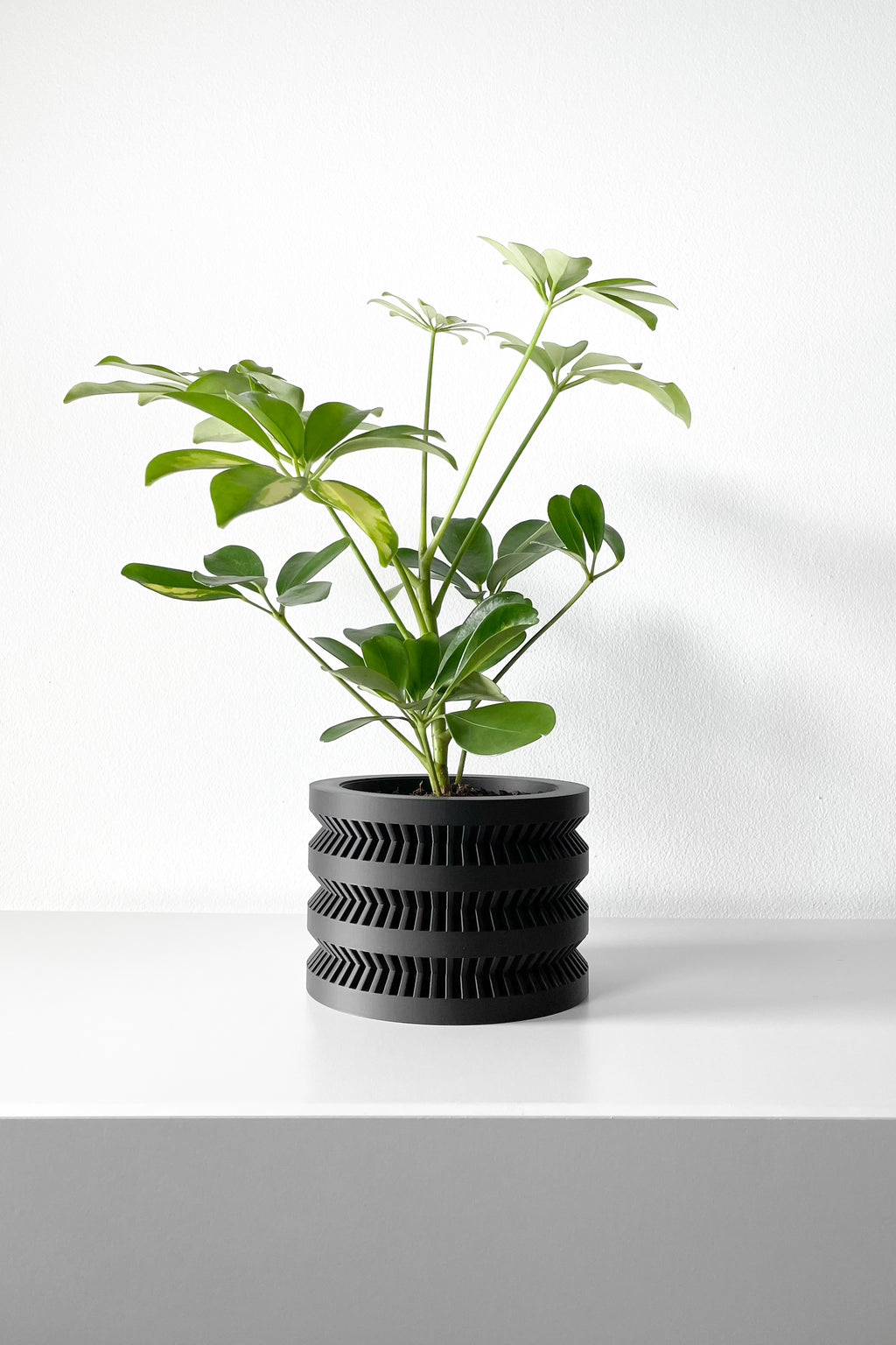 The Civen Planter
