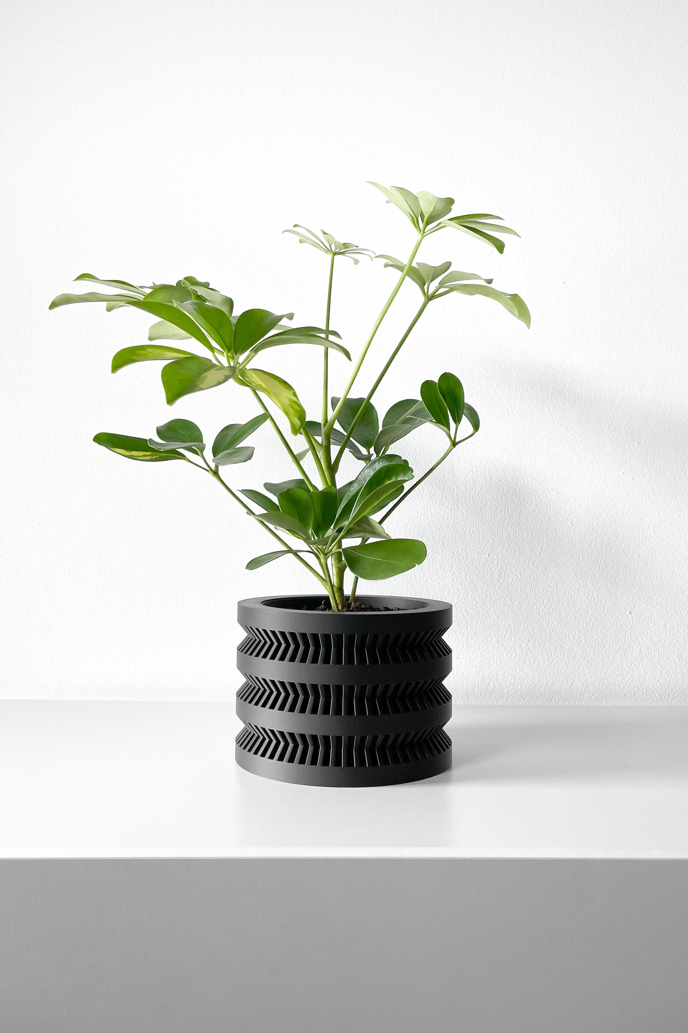 The Civen Planter