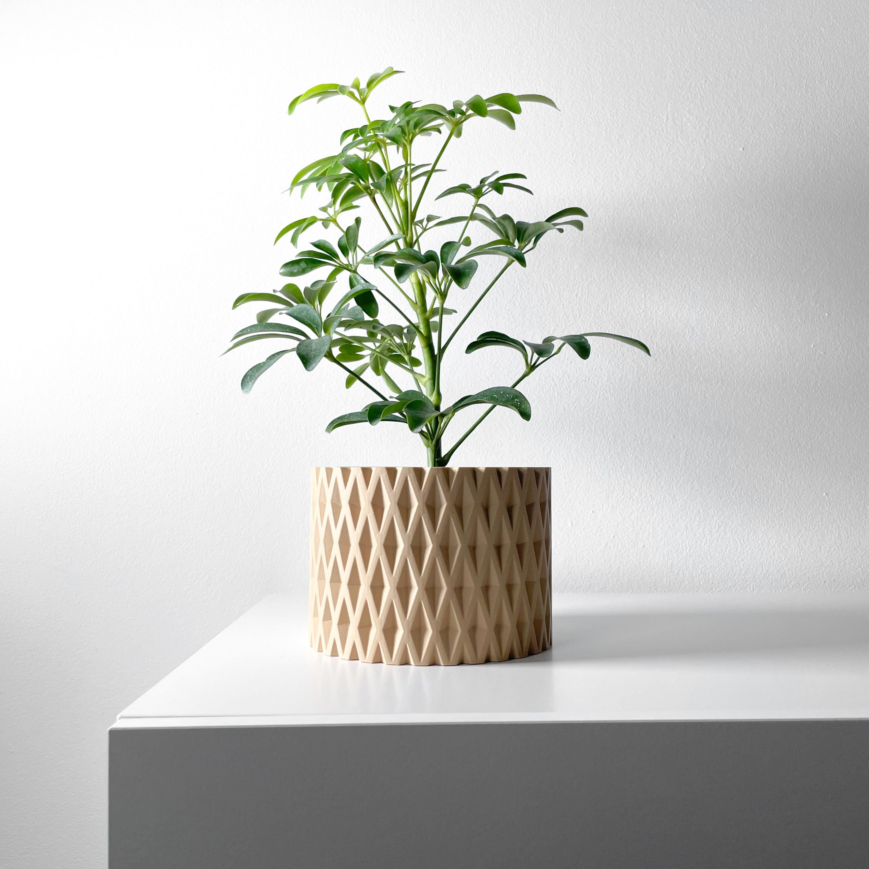 Grivan Planter