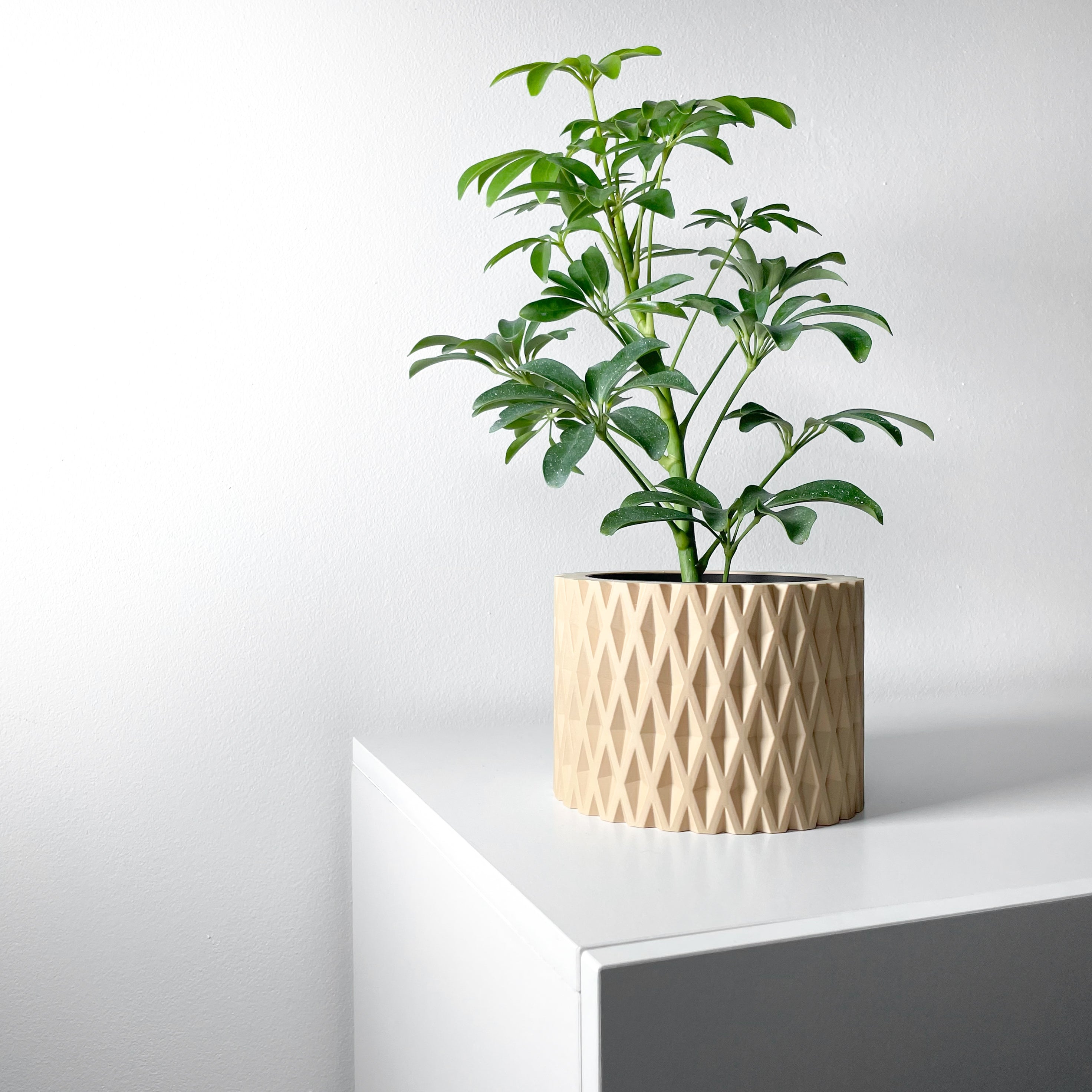 Grivan Planter
