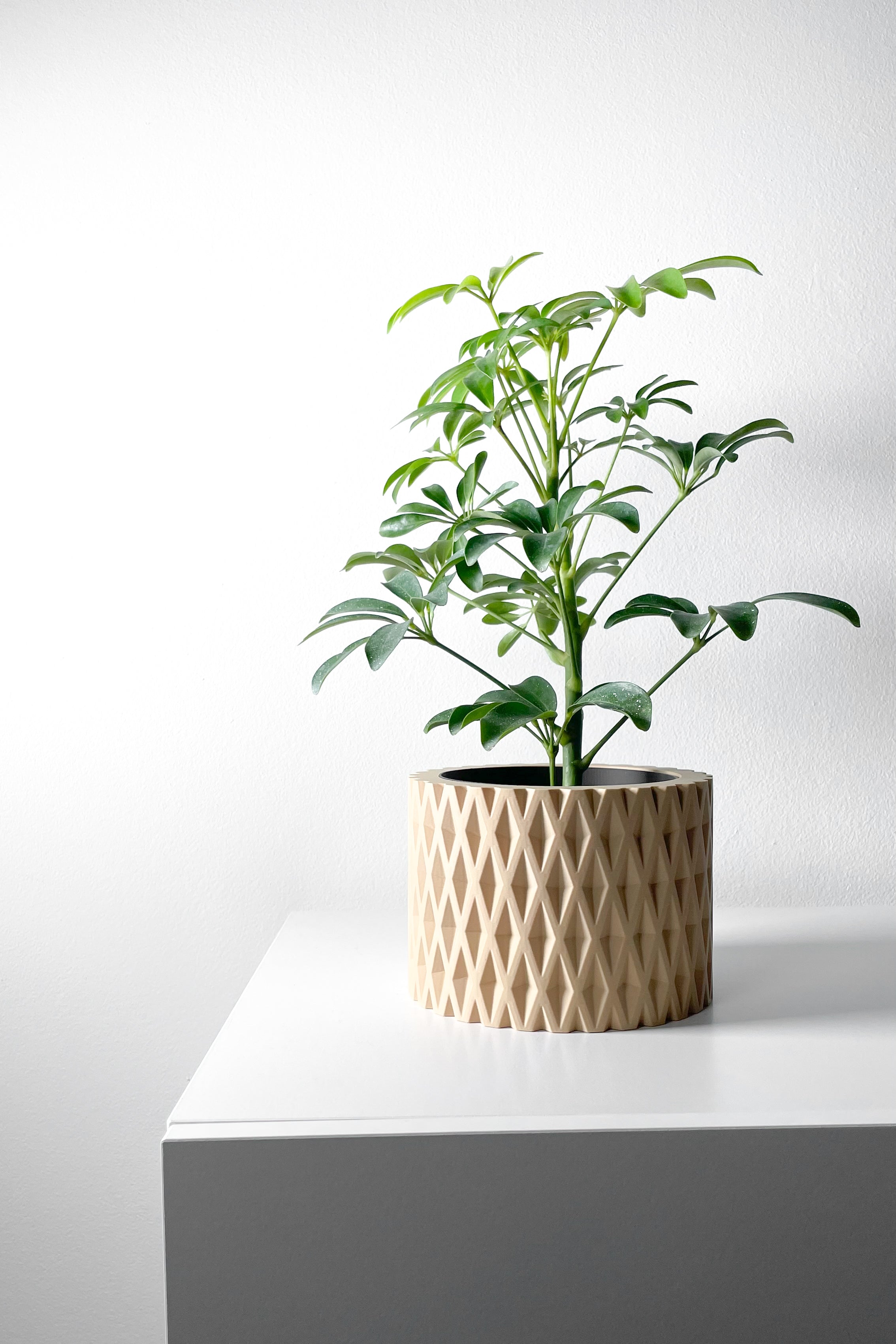 Grivan Planter
