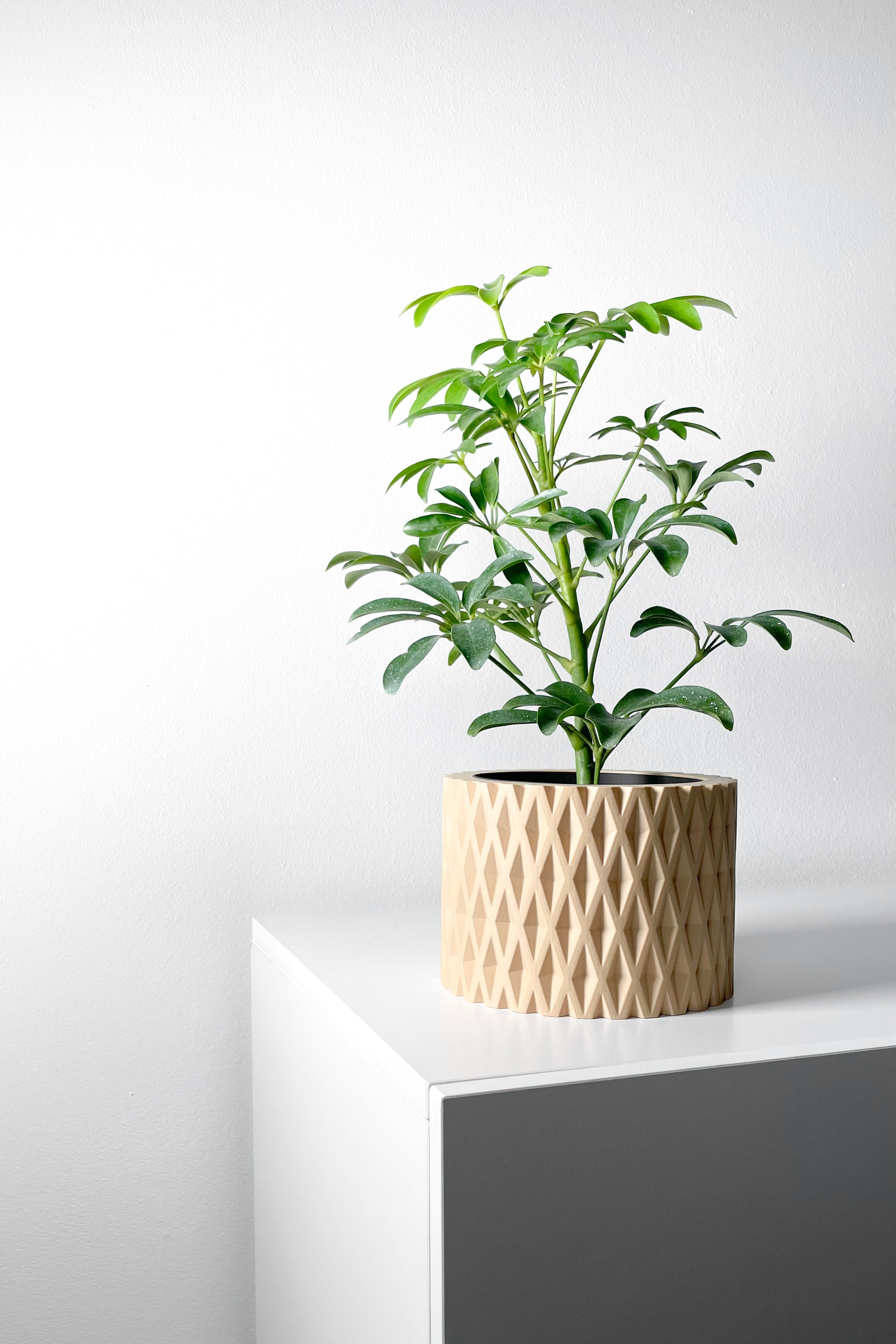 Grivan Planter