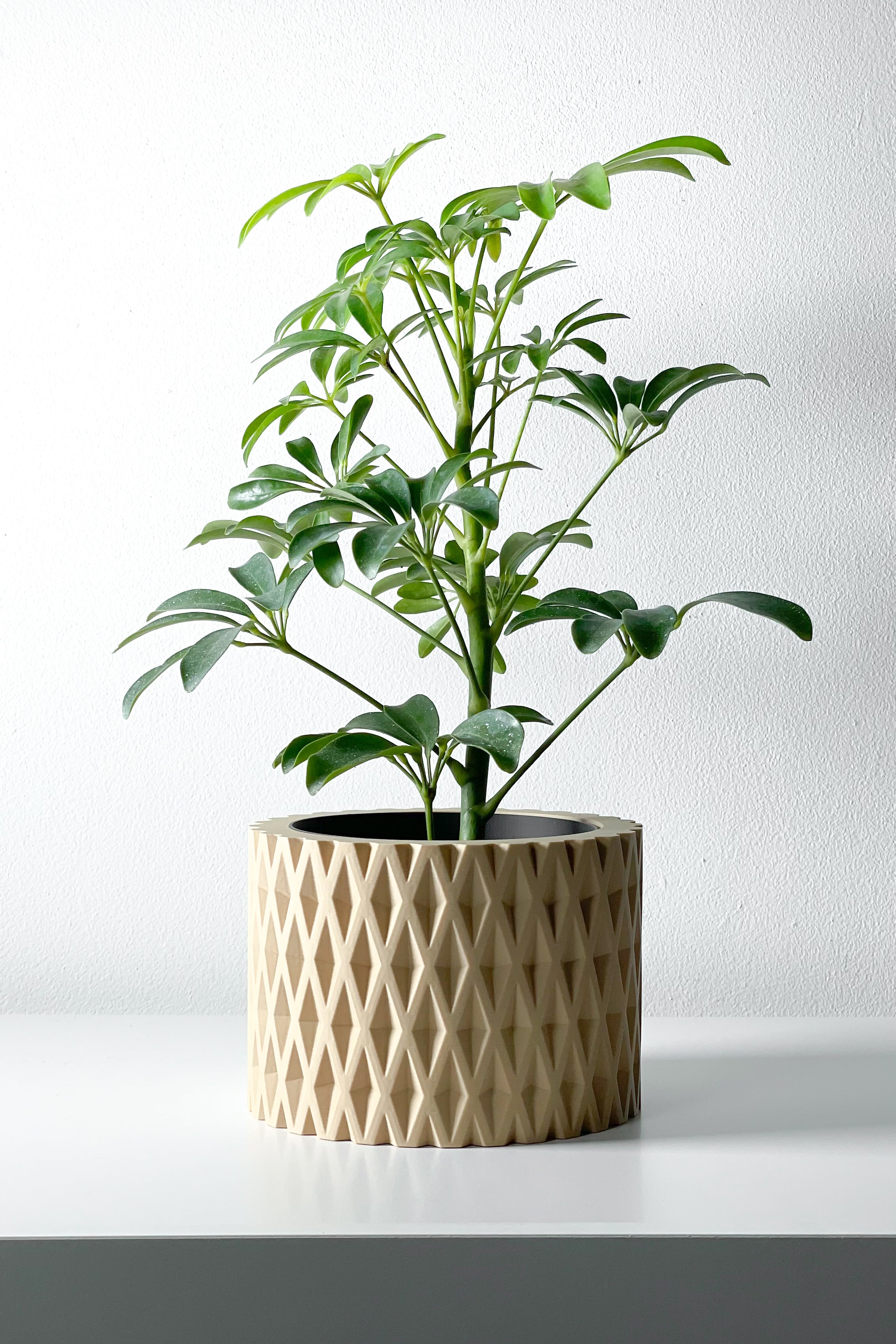 Grivan Planter