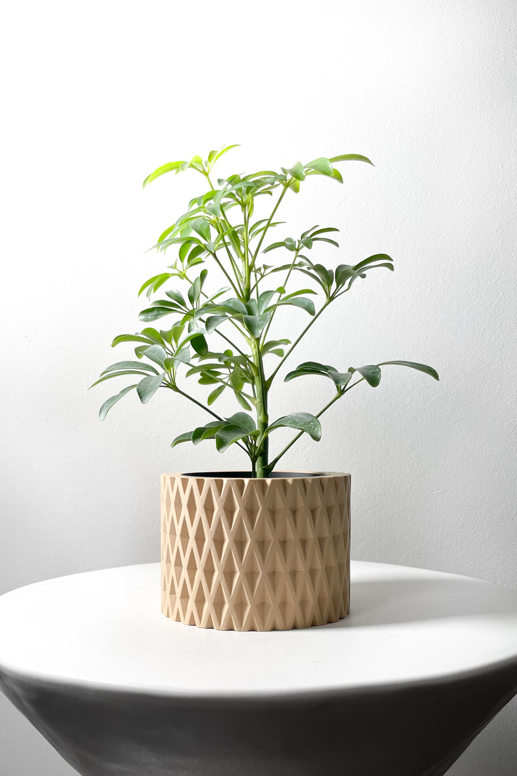 Grivan Planter