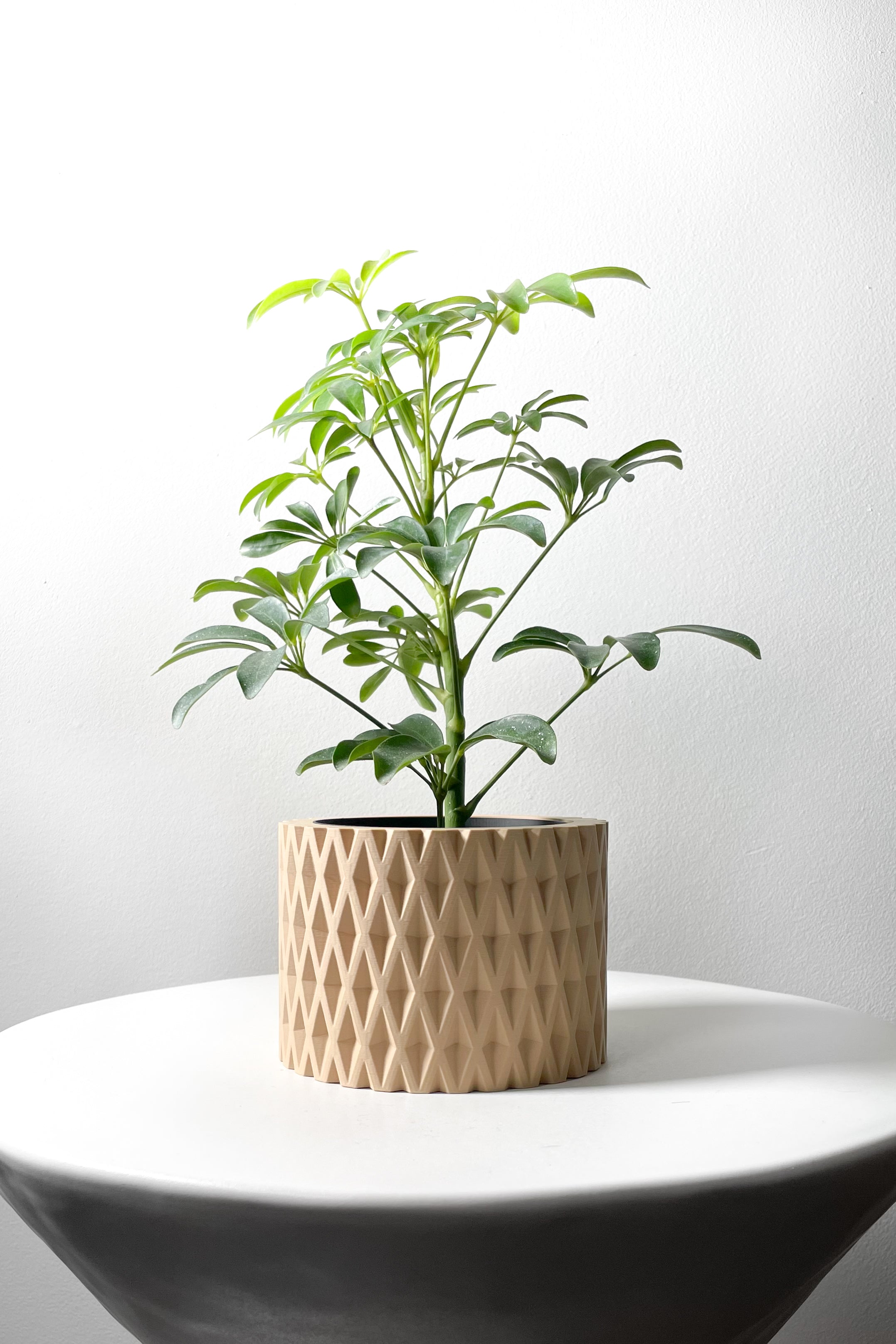 Grivan Planter