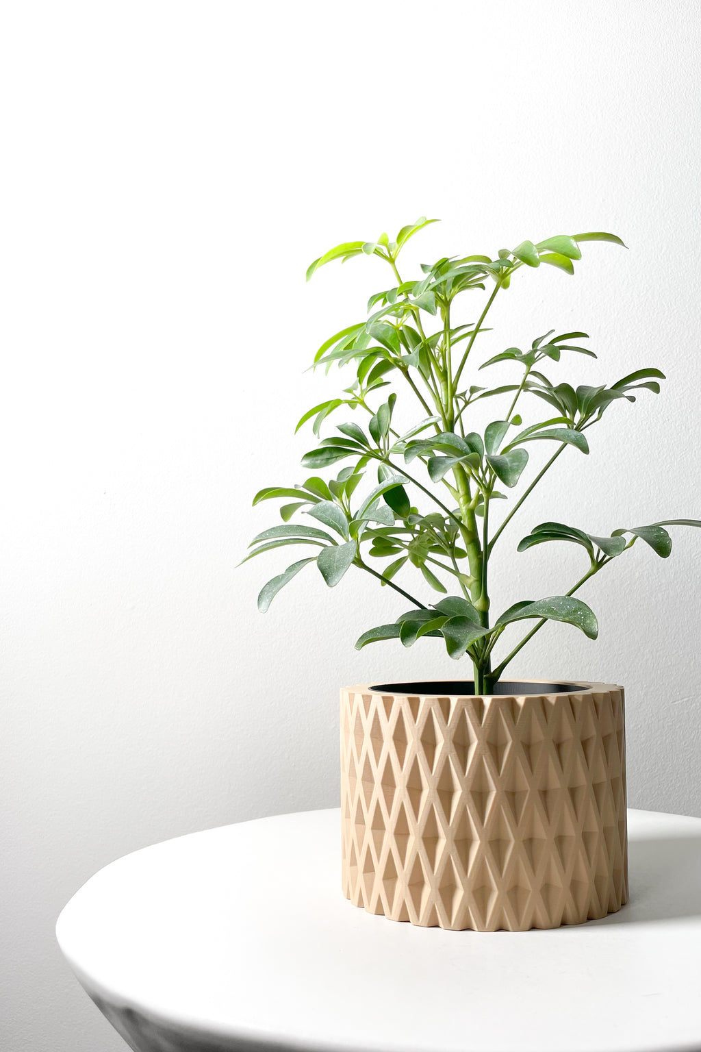 Grivan Planter