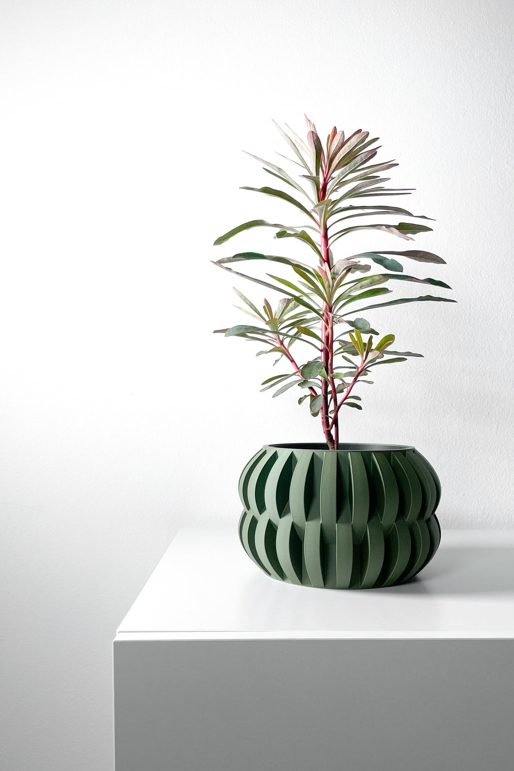 Povan Planter