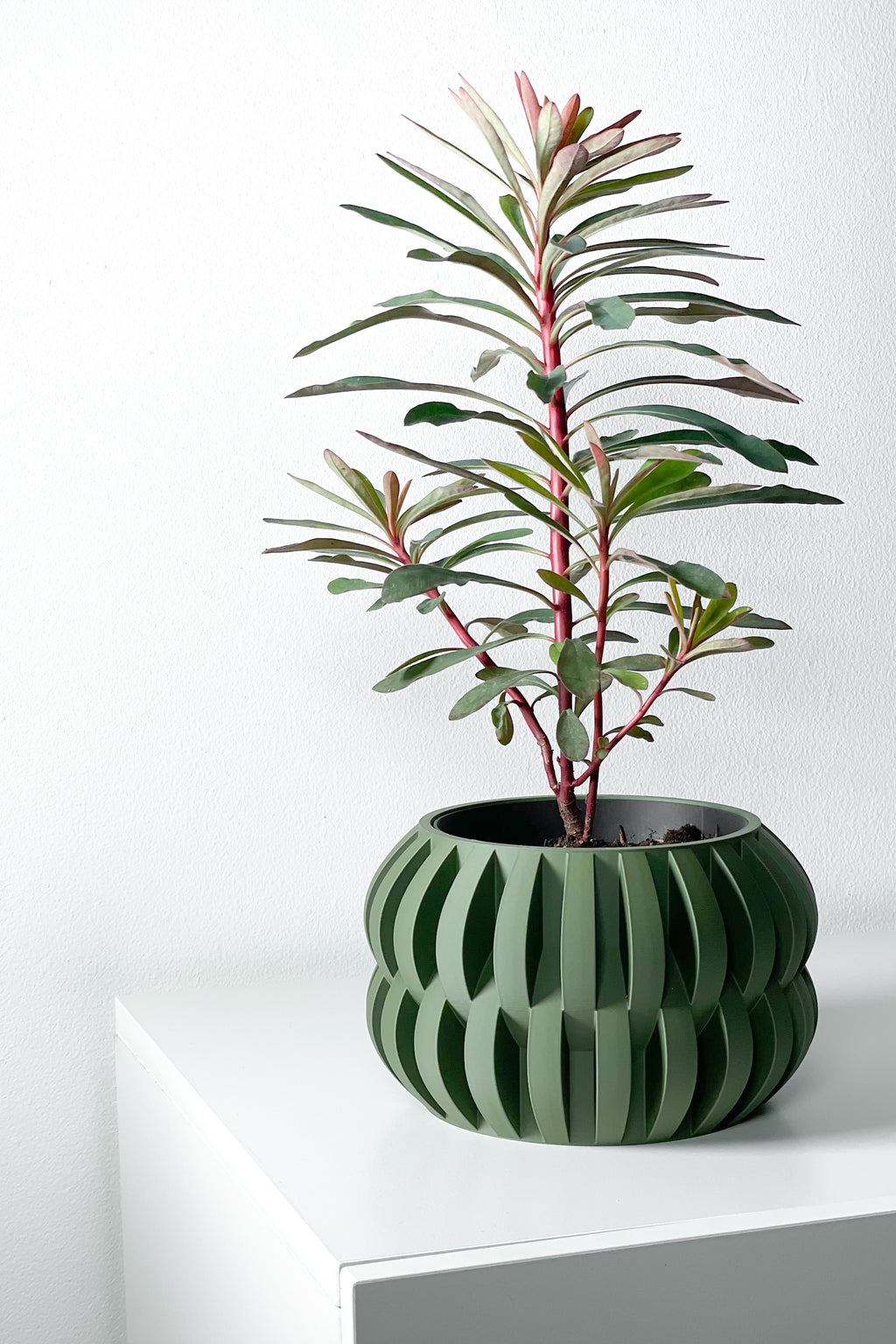 Povan Planter