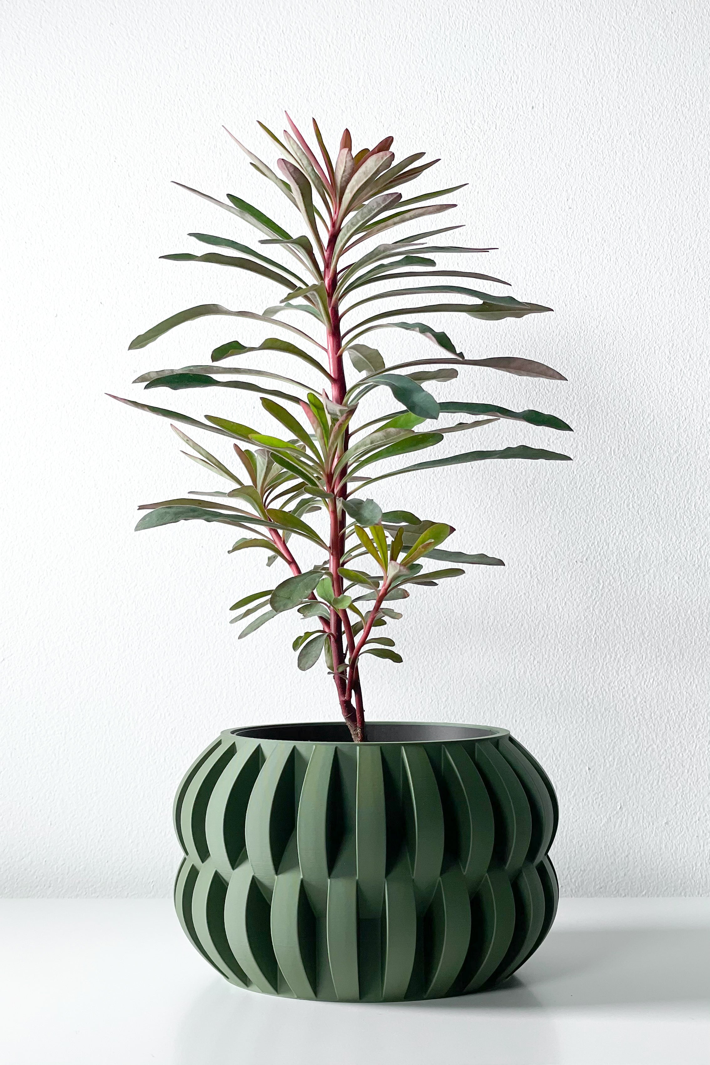 Povan Planter