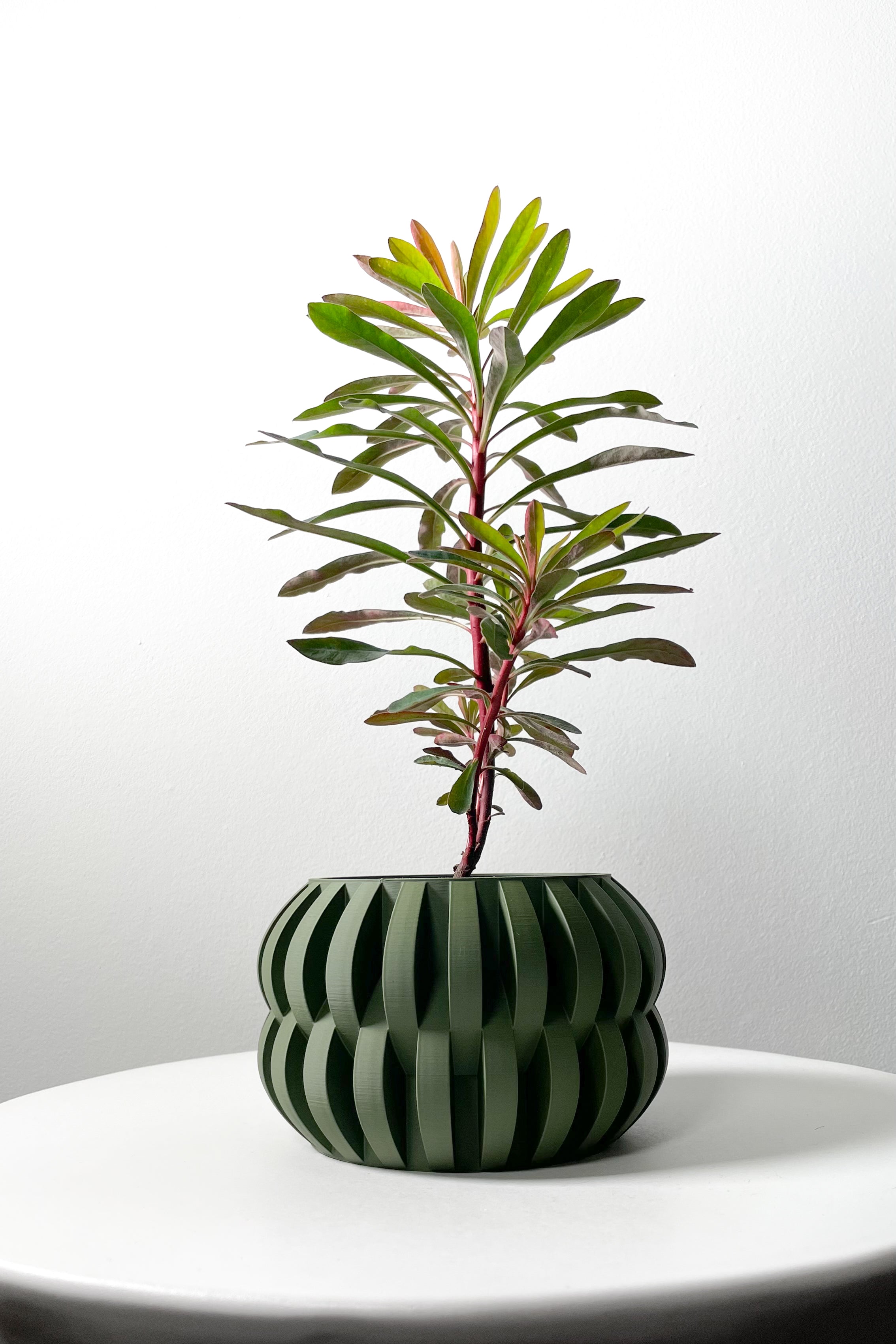 Povan Planter
