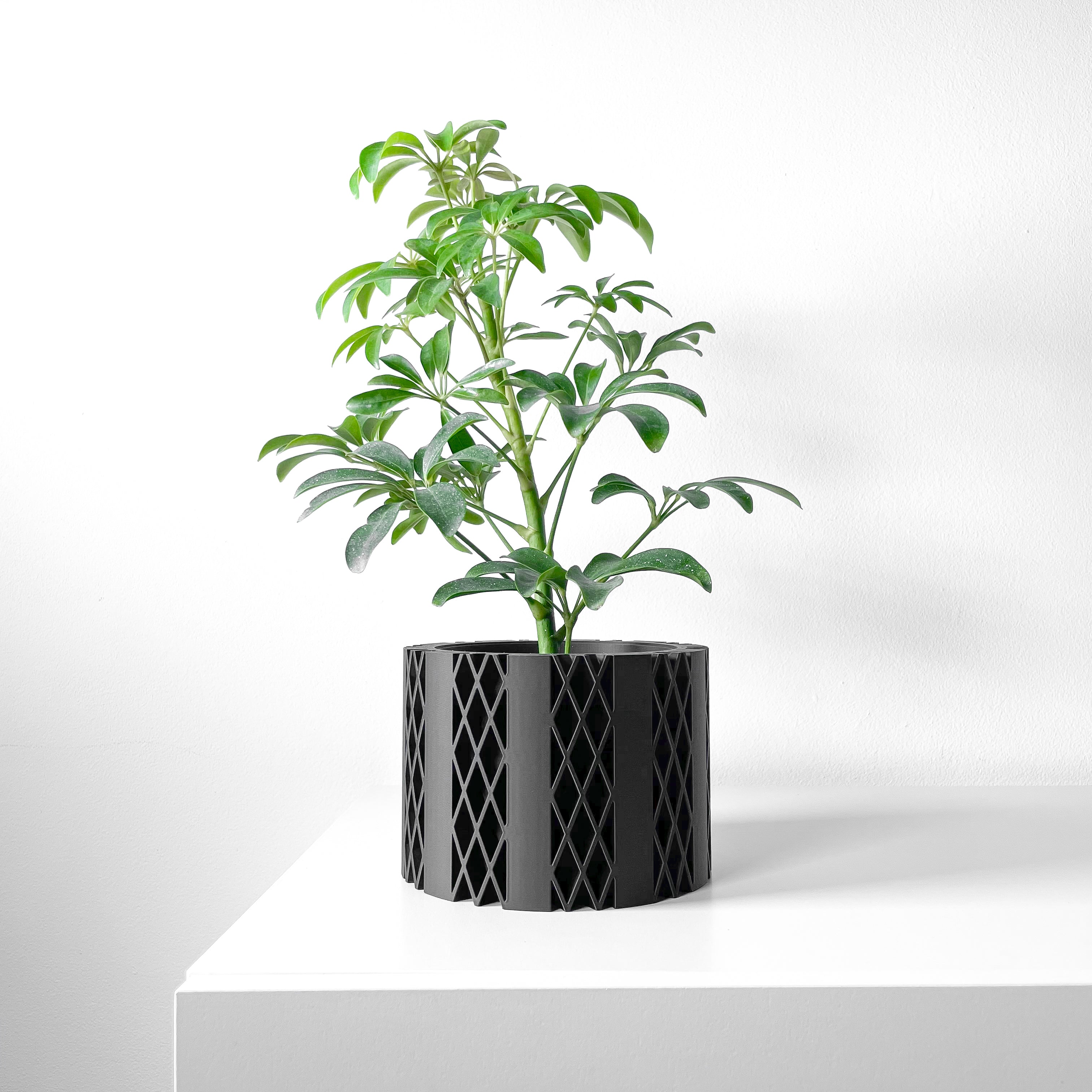Arven Planter