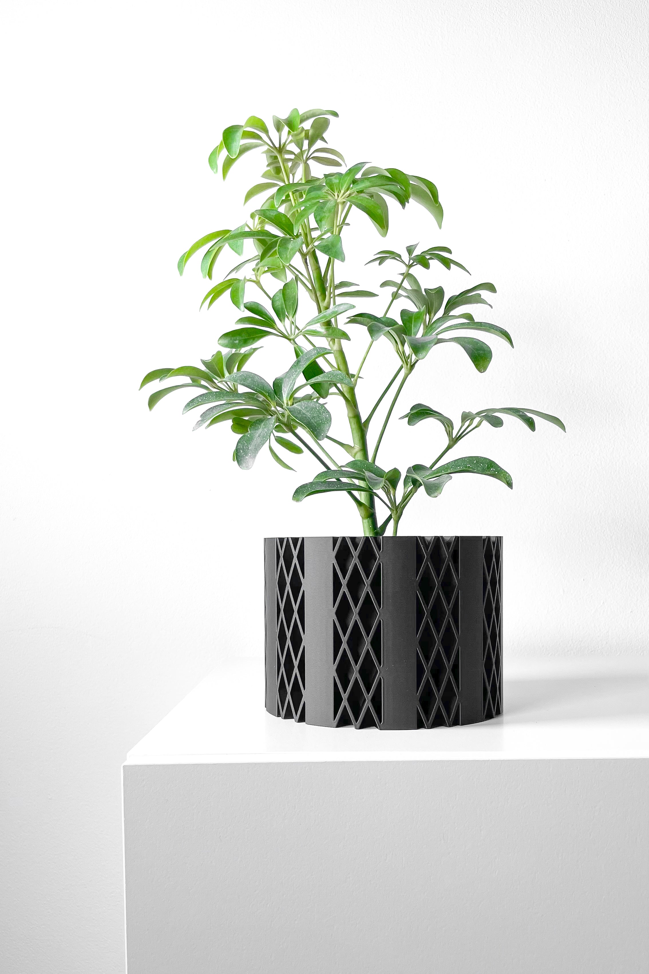 Arven Planter