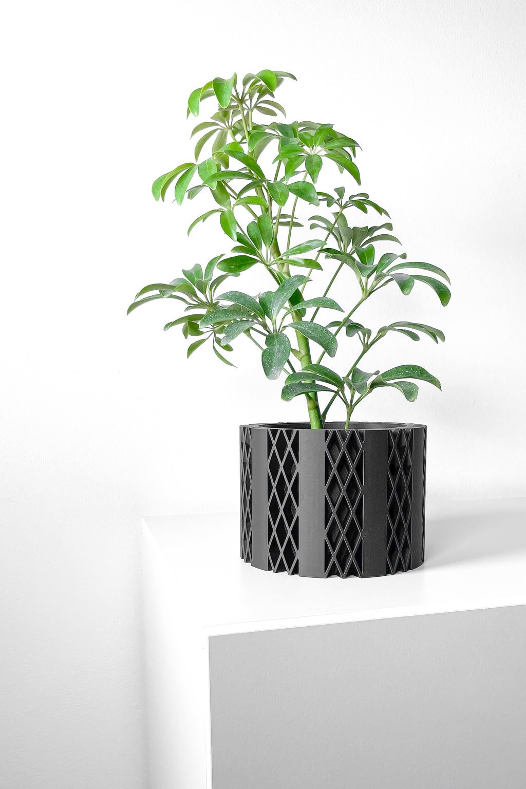Arven Planter